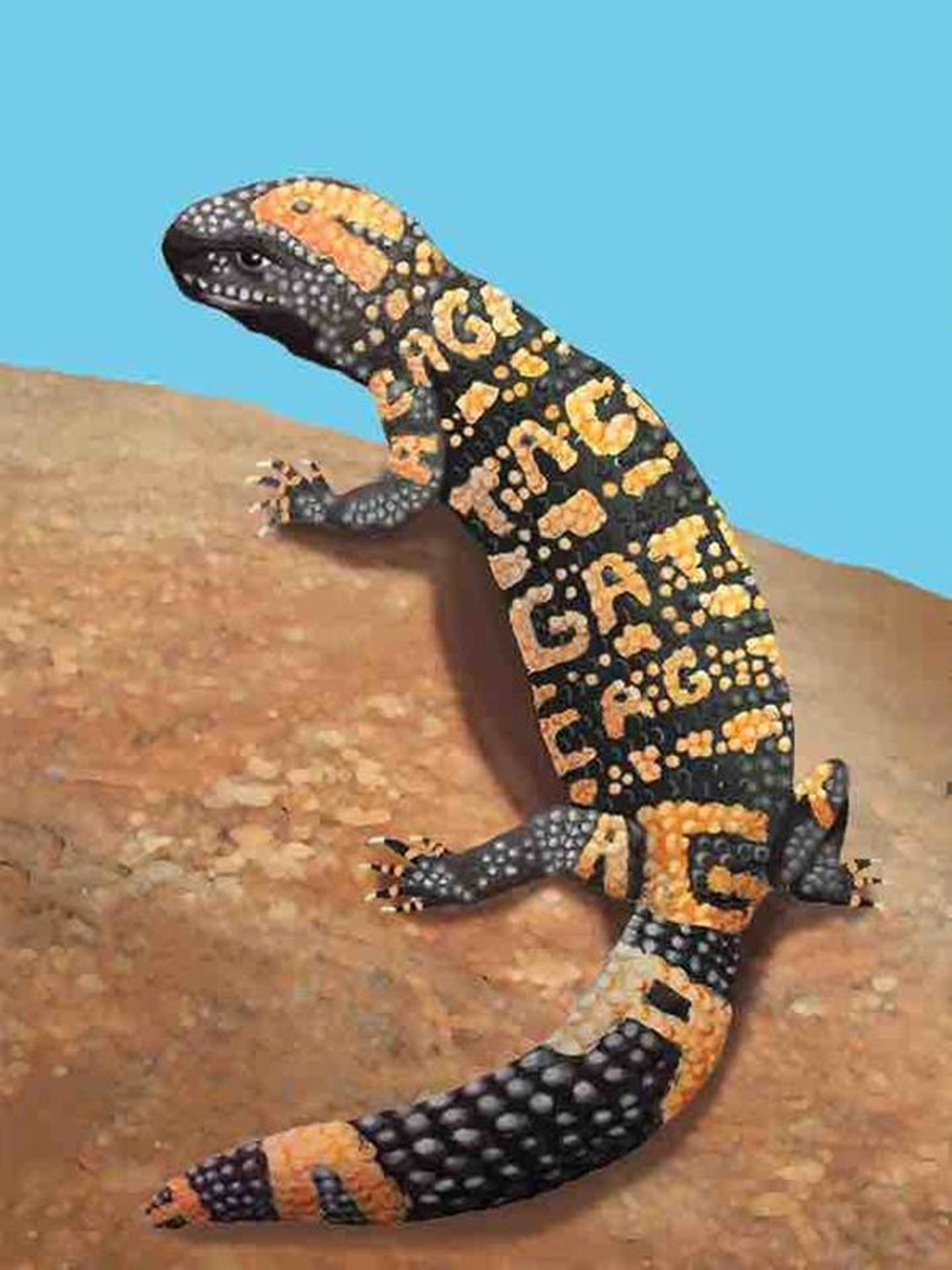 Gila Monster Art With Letter Patterns