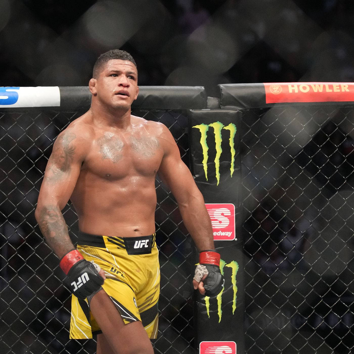 Gilbert Burns Wearing Yellow Fight Shorts Background