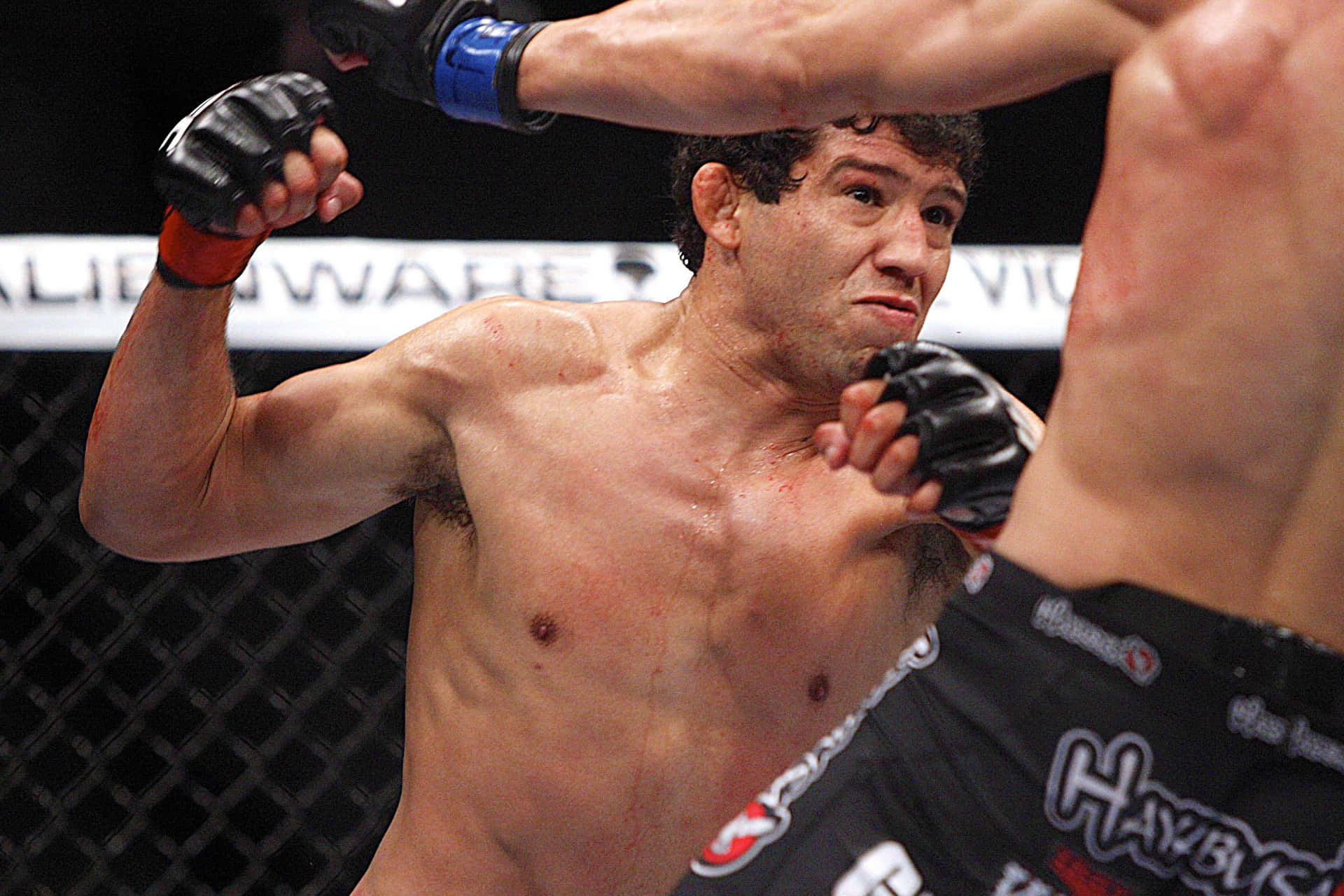 Gilbert Melendez Punch Swing Strikeforce Championship Background