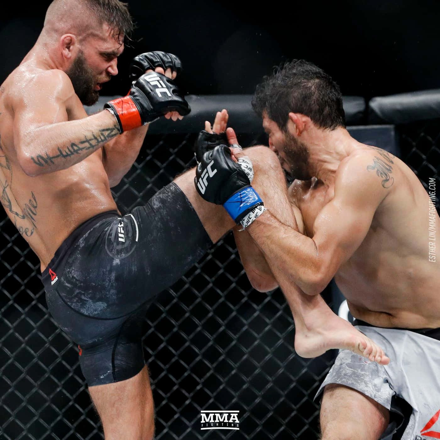 Gilbert Melendez Vs. Jeremy Stephens Ufc 2017 Background