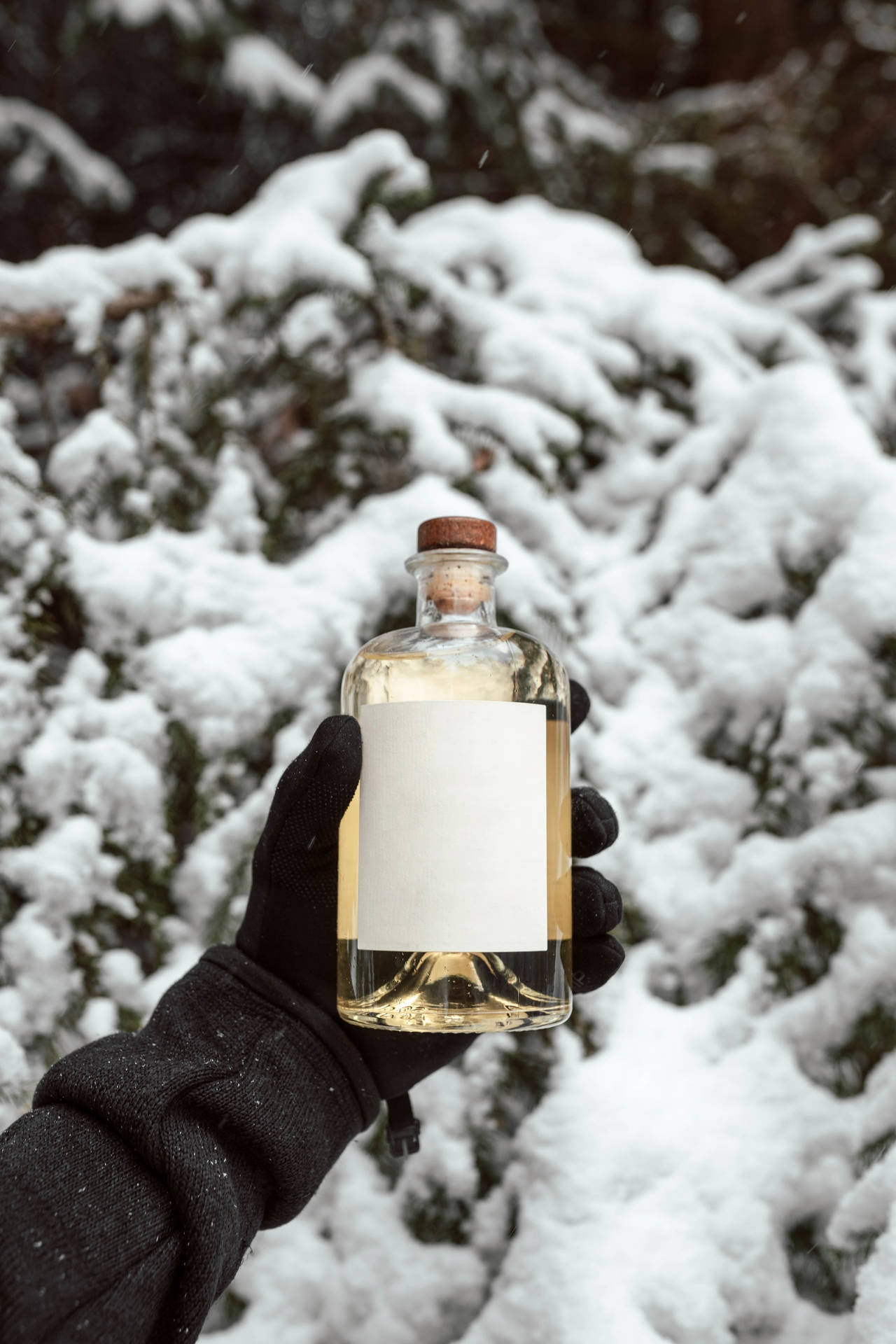 Gin On Snow Background