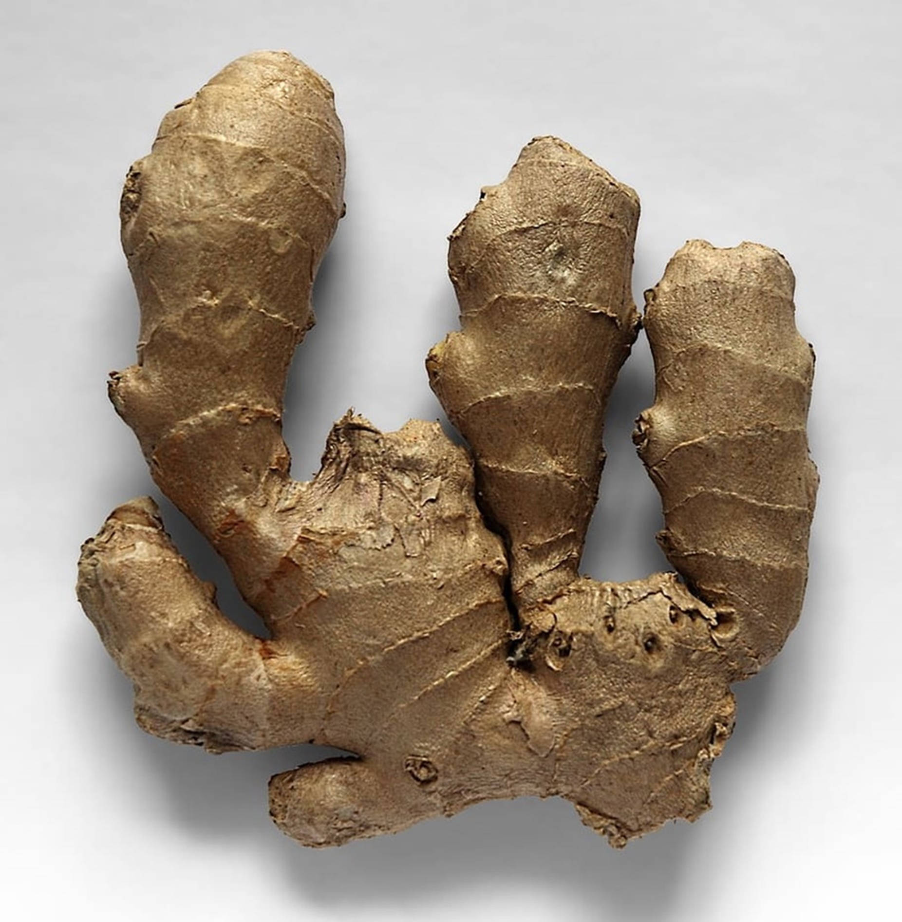 Ginger Root Vegetable Top View Background