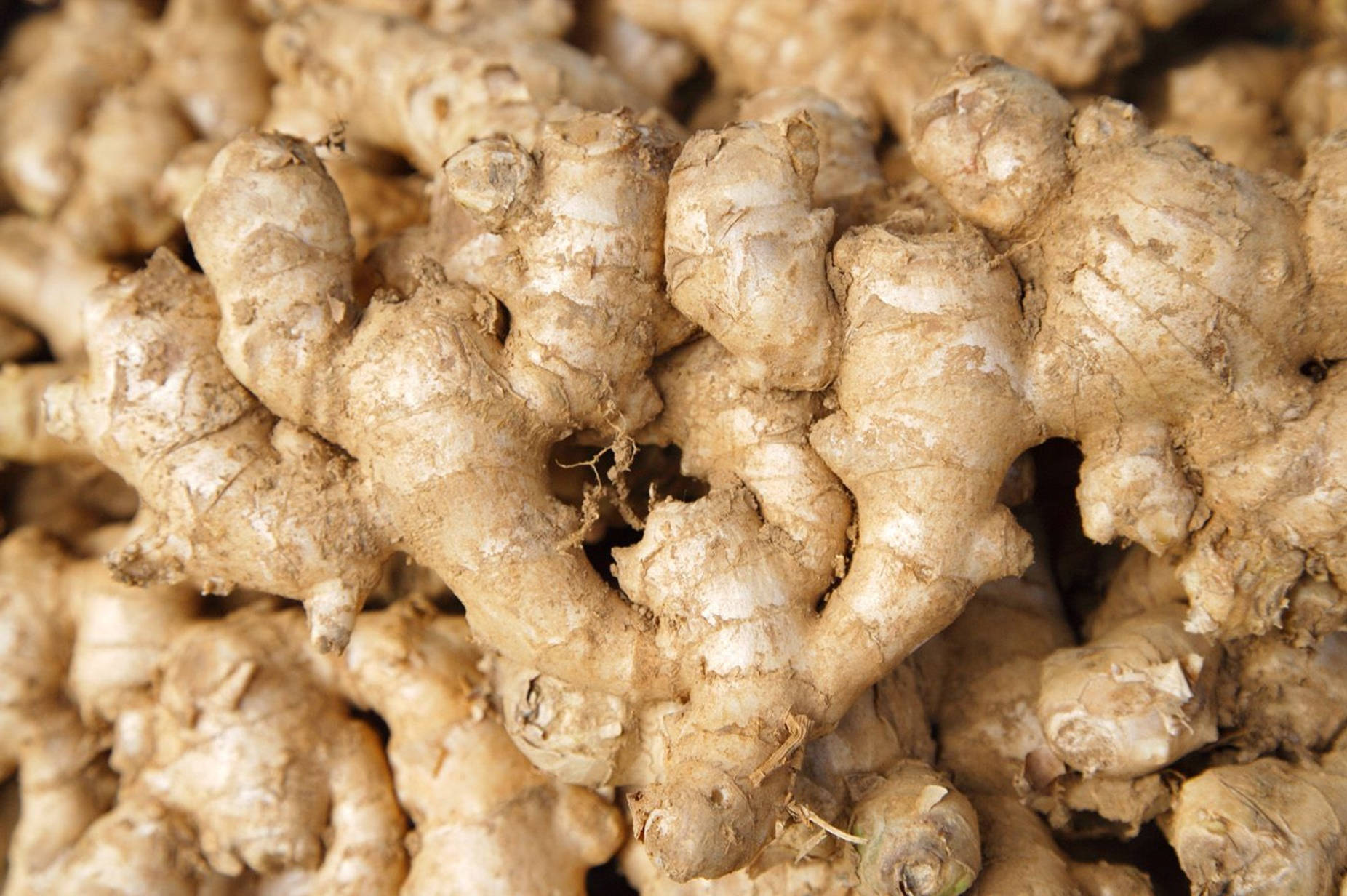 Ginger Root Vegetables Group Close Up Background