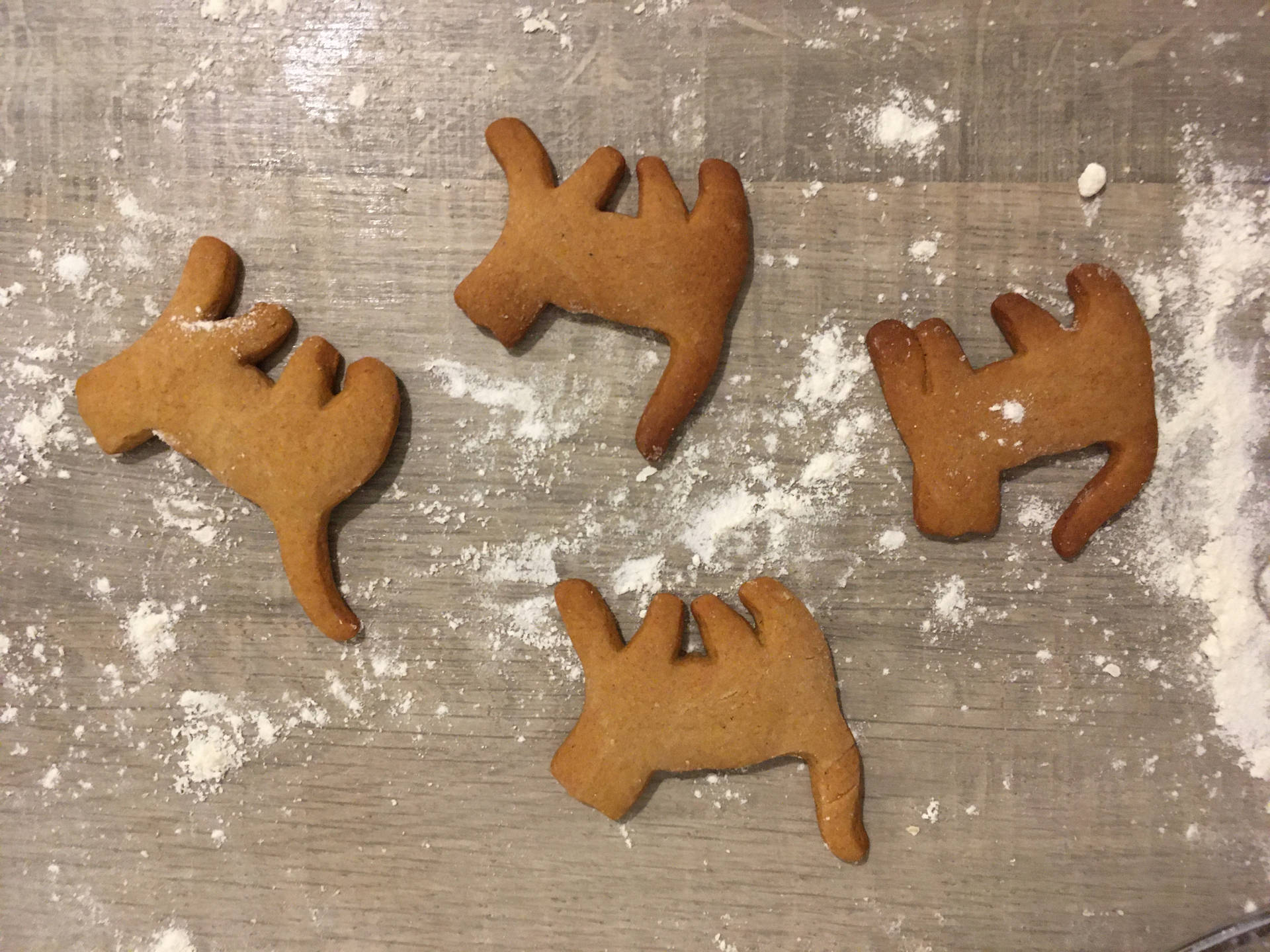 Gingerbread Cat Cookies Background