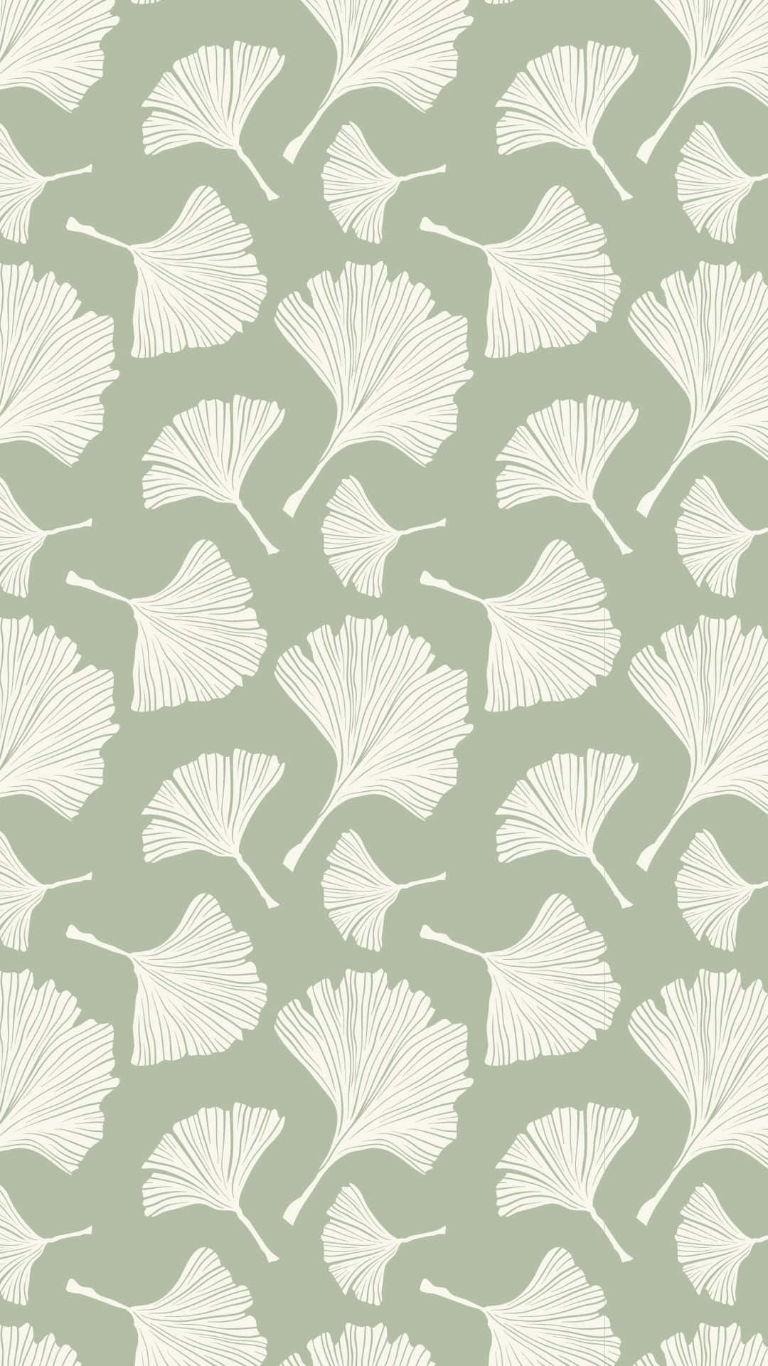 Ginkgo Leaves Drawn On A Cute Sage Green Surface Background