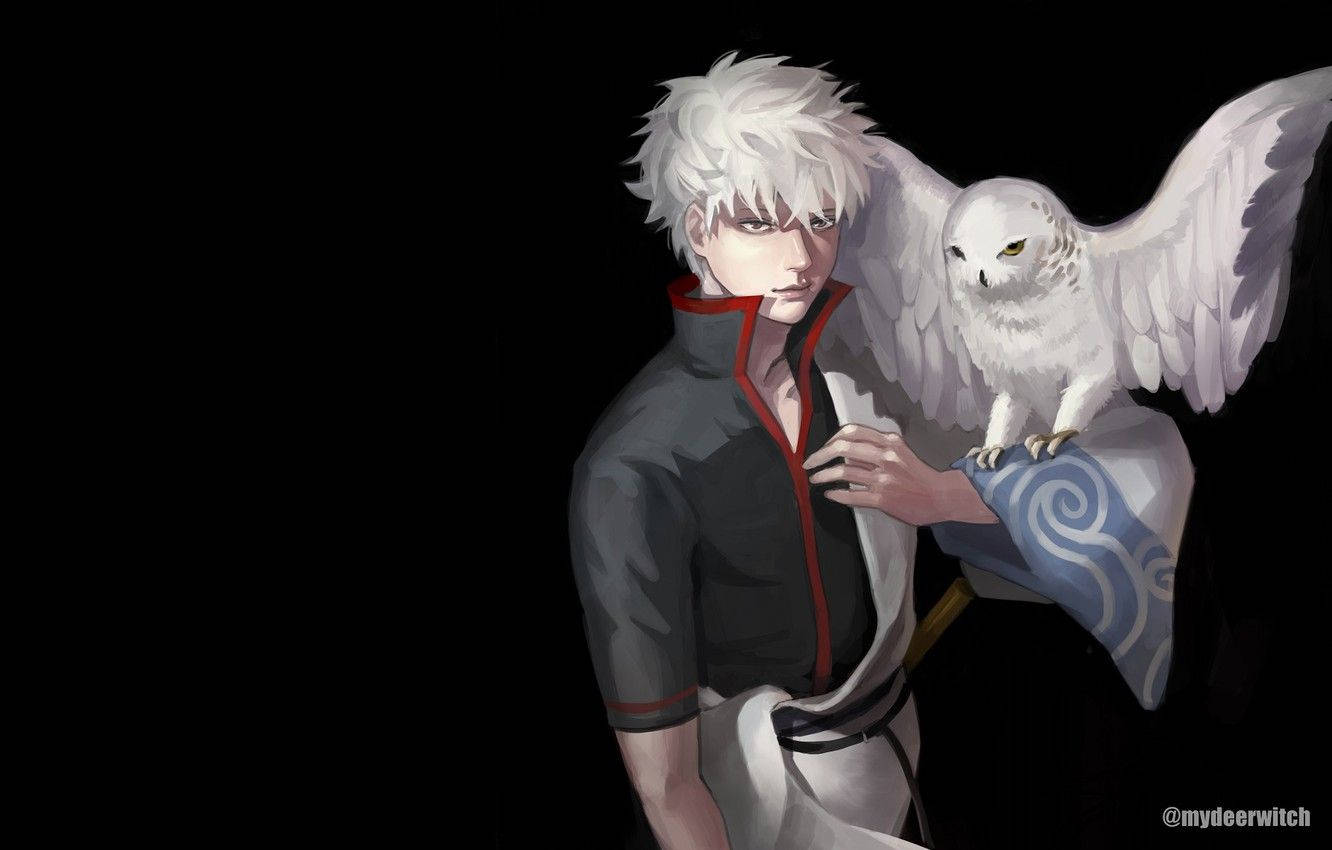 Gintama Gintoki With An Owl