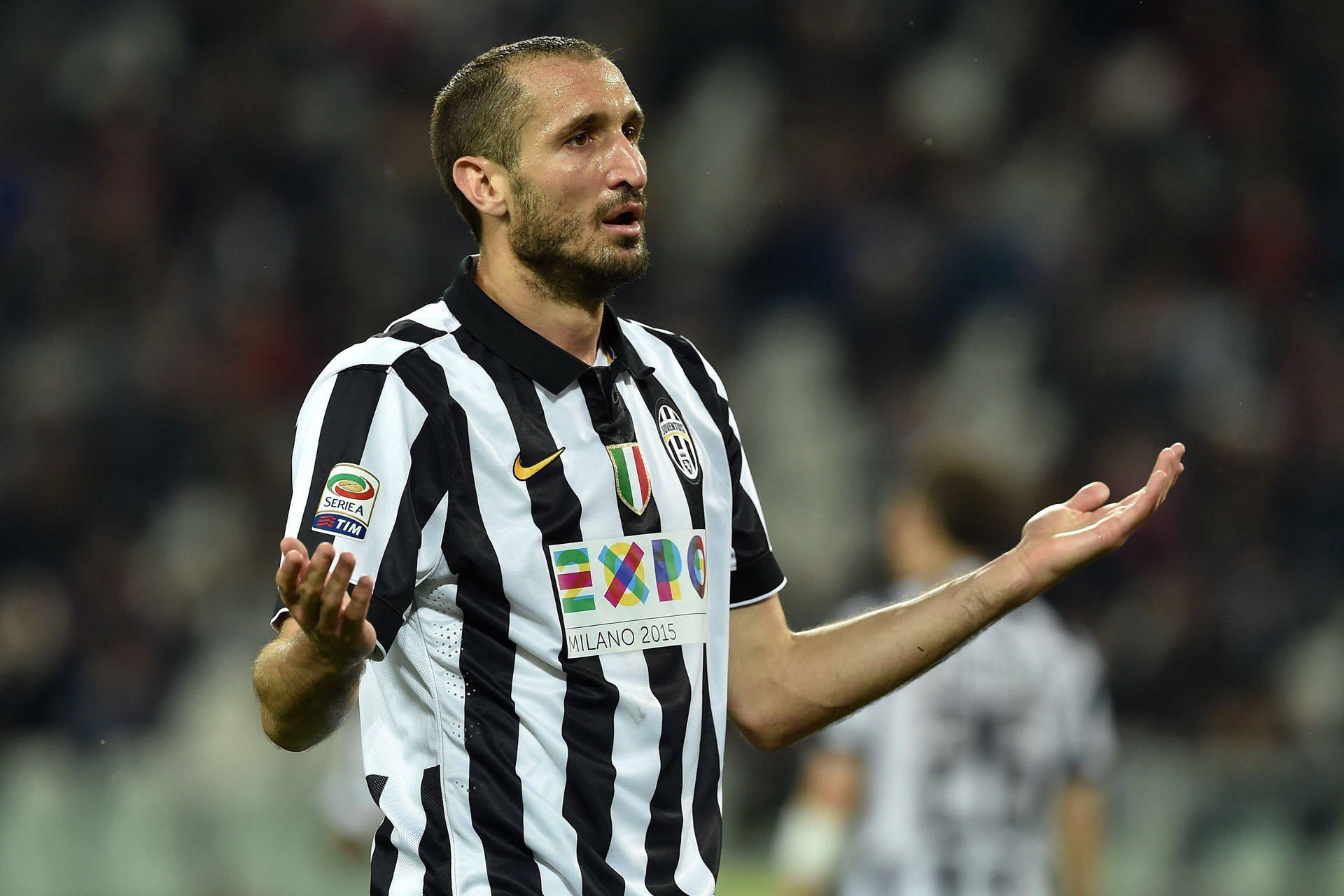 Giorgio Chiellini In Action During A Juventus Fc Match Against Acf Fiorentina