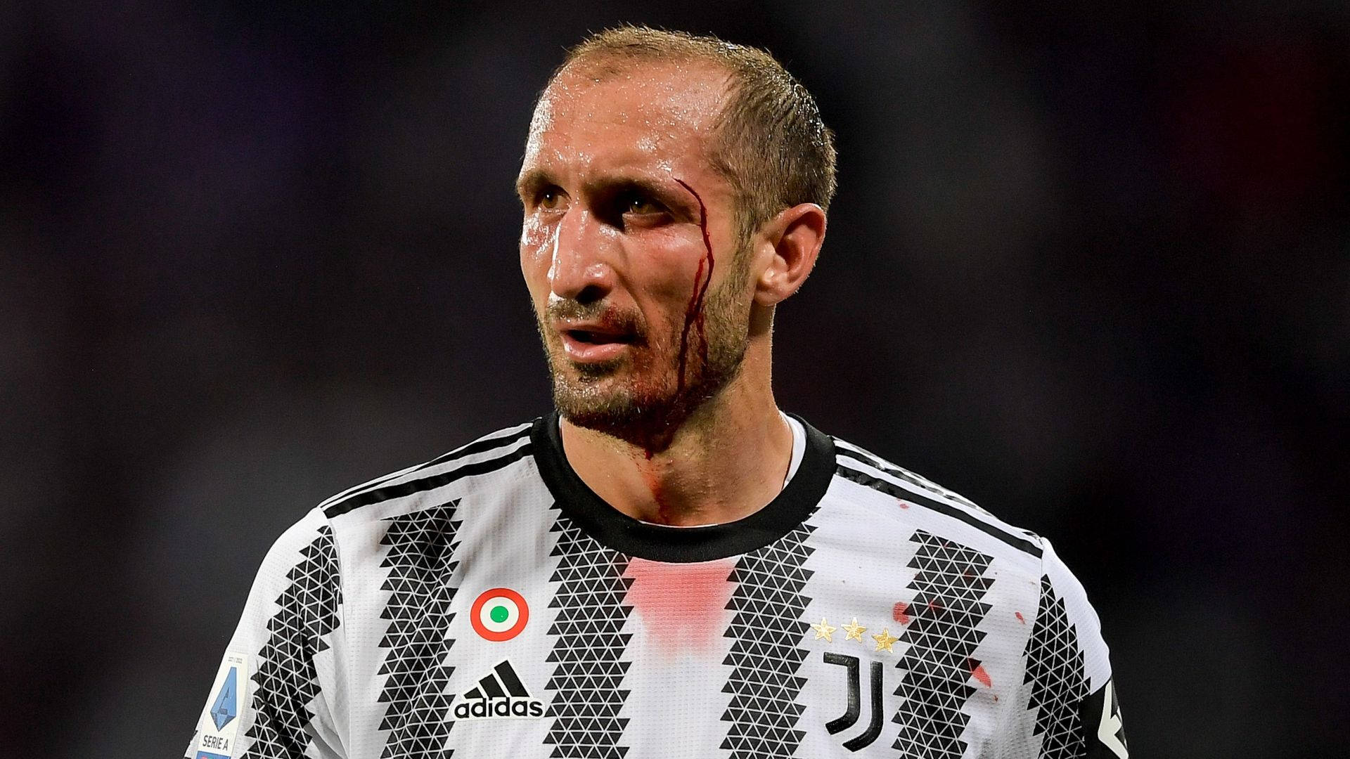 Giorgio Chiellini In Action - Juventus Vs Acf Fiorentina