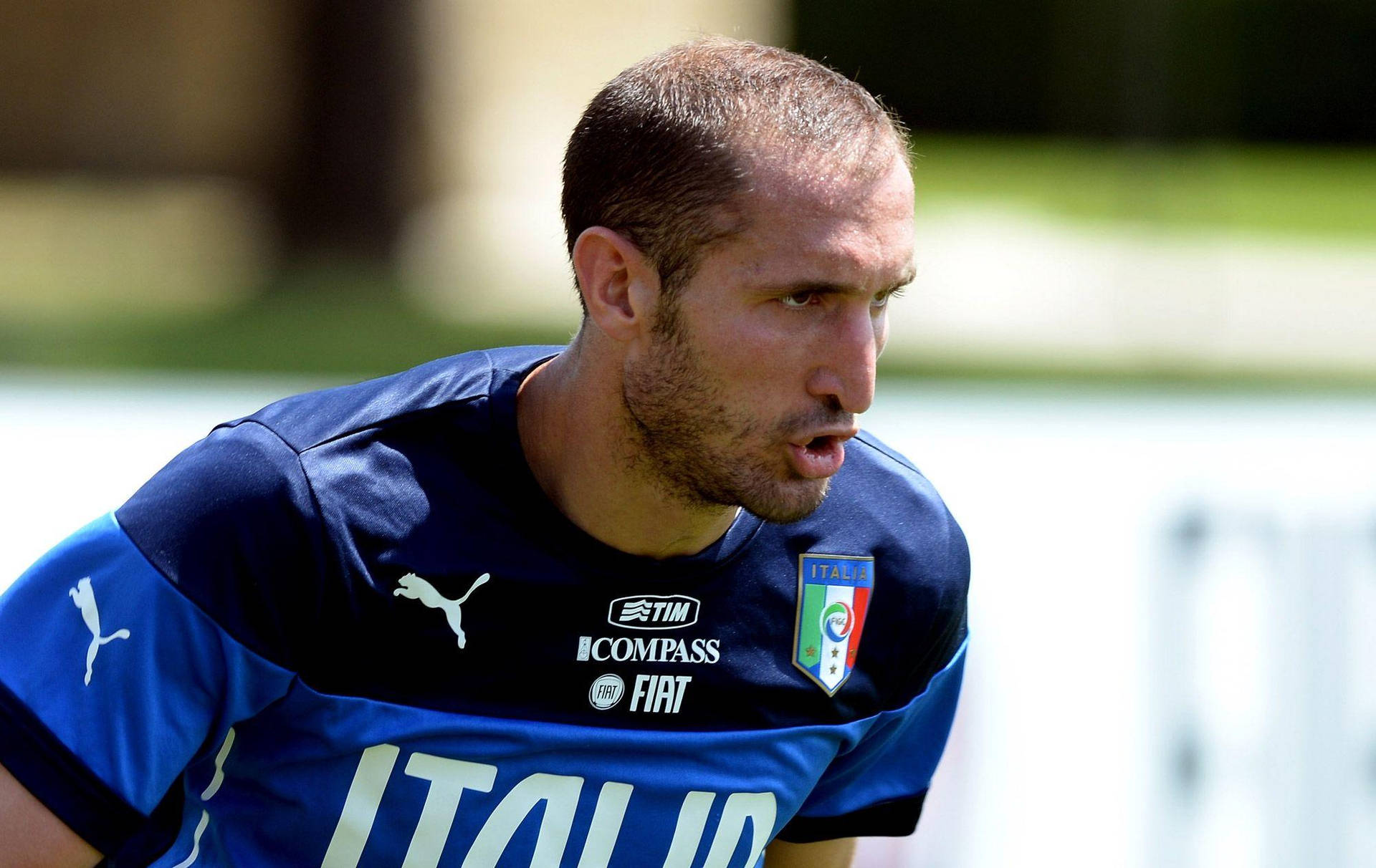 Giorgio Chiellini Italy National Football Player Background