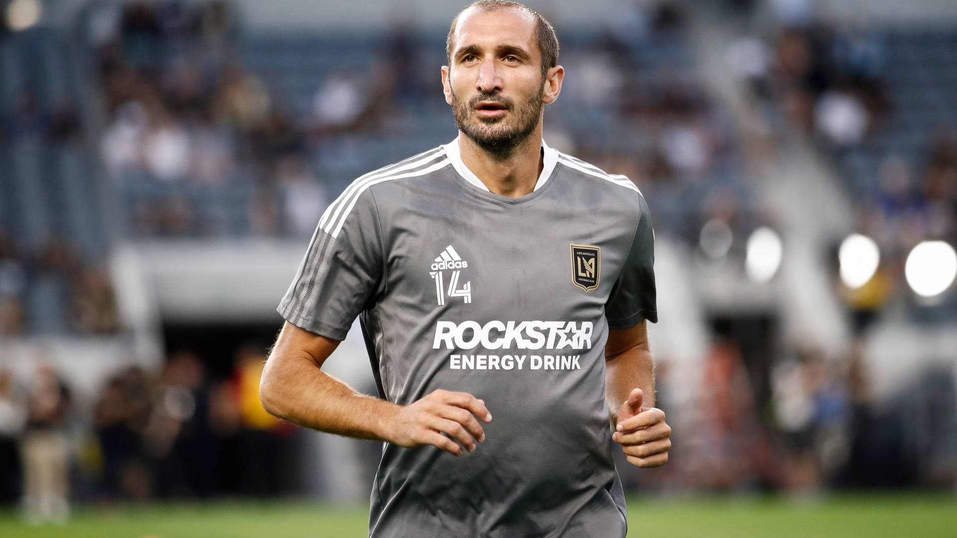 Giorgio Chiellini Los Angeles Fc Vs. Real Salt Lake Background