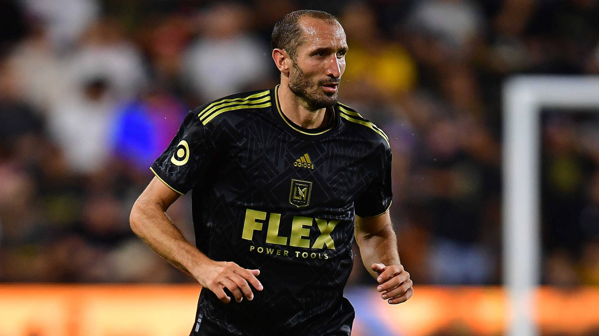 Giorgio Chiellini Los Angeles Football Club Running Background