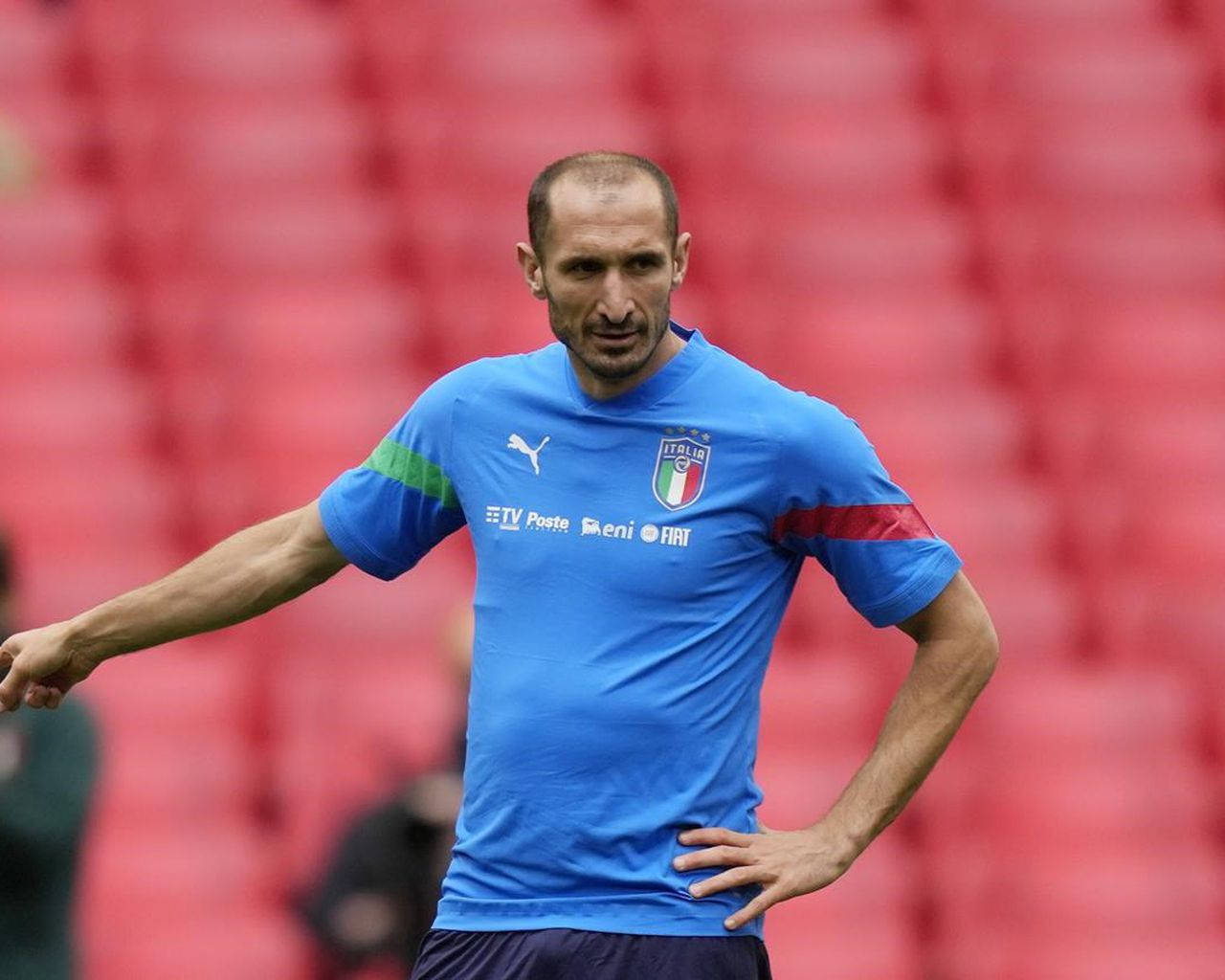 Giorgio Chiellini Strict Football Captain Italy