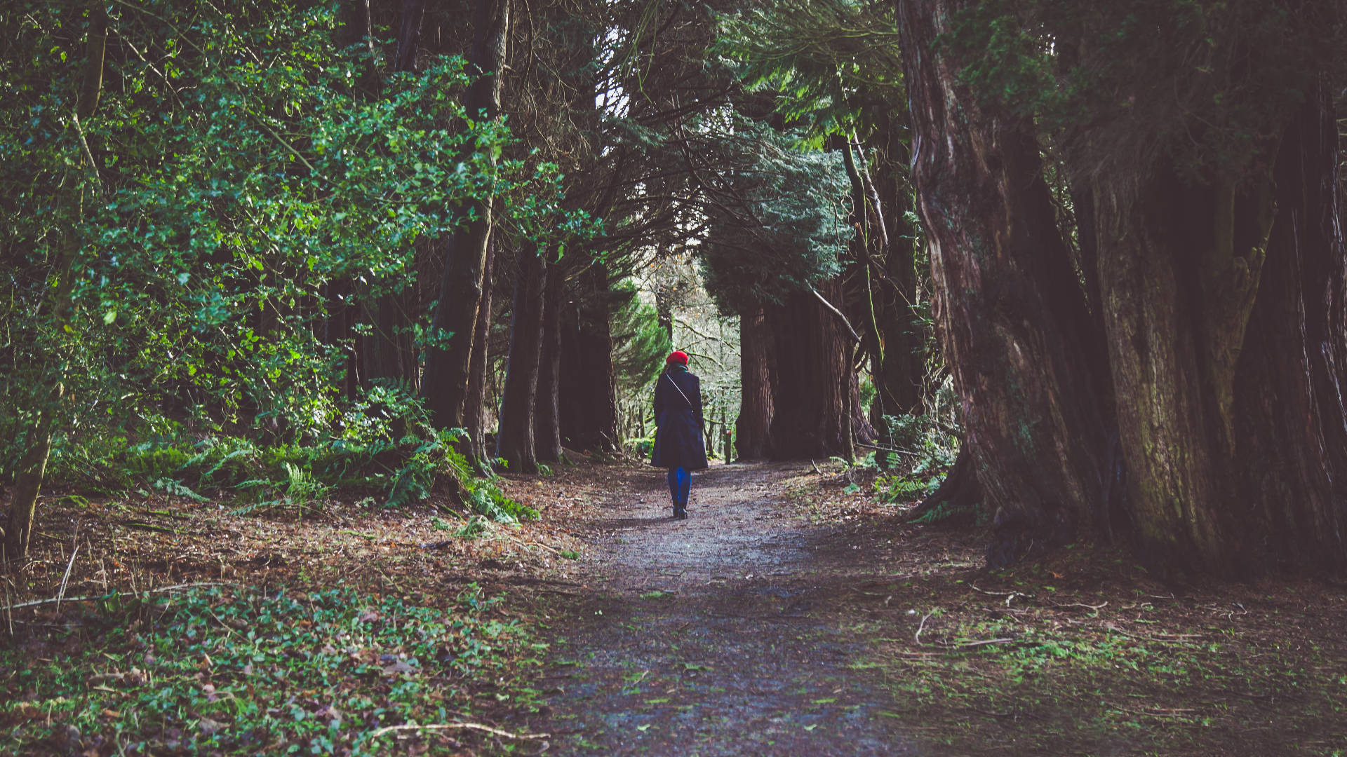 Girl Alone Enchanted Forest