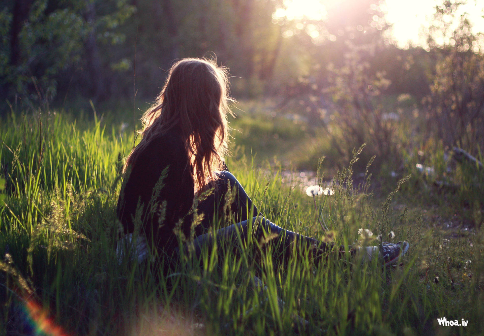 Girl Alone Field Wild Grass Background