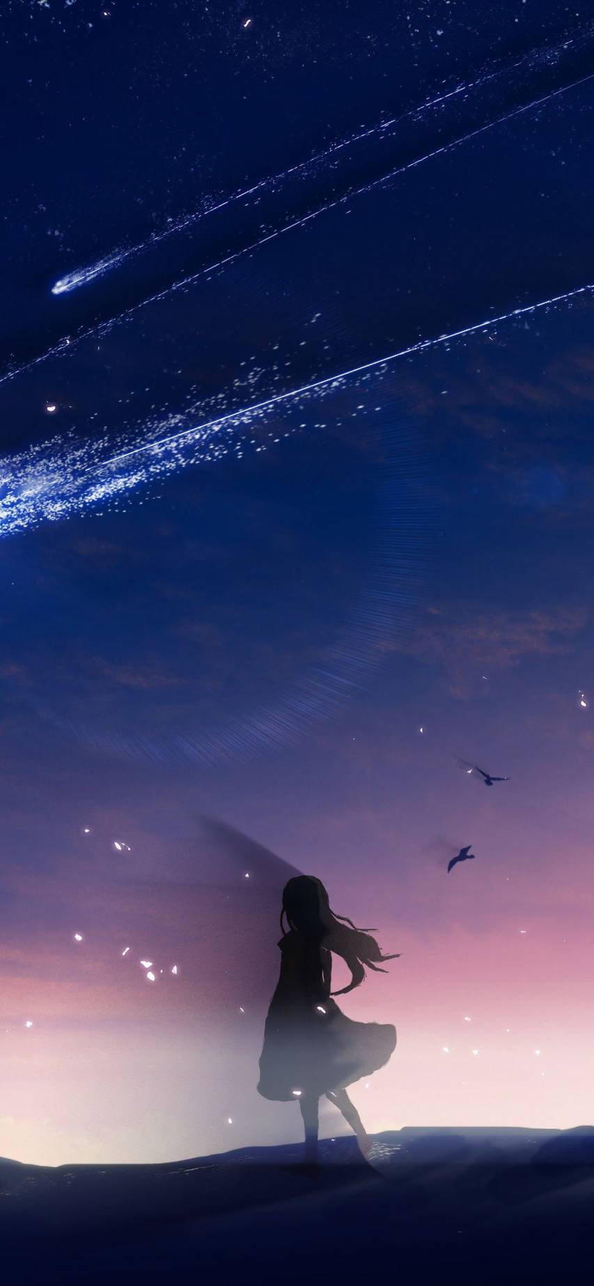 Girl And Comet Aesthetic Anime Iphone Background
