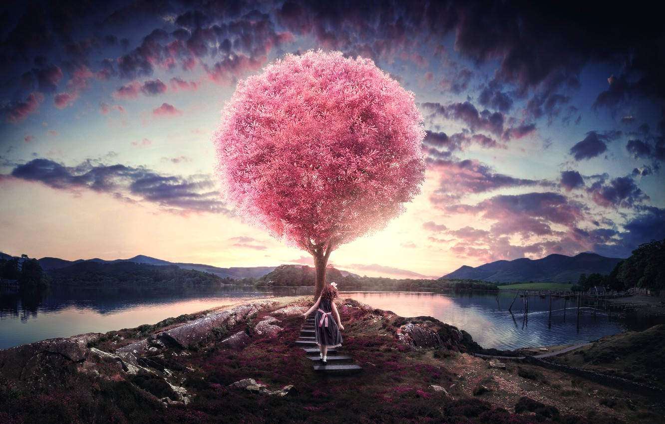 Girl And Pink Tree Adobe Photoshop Background