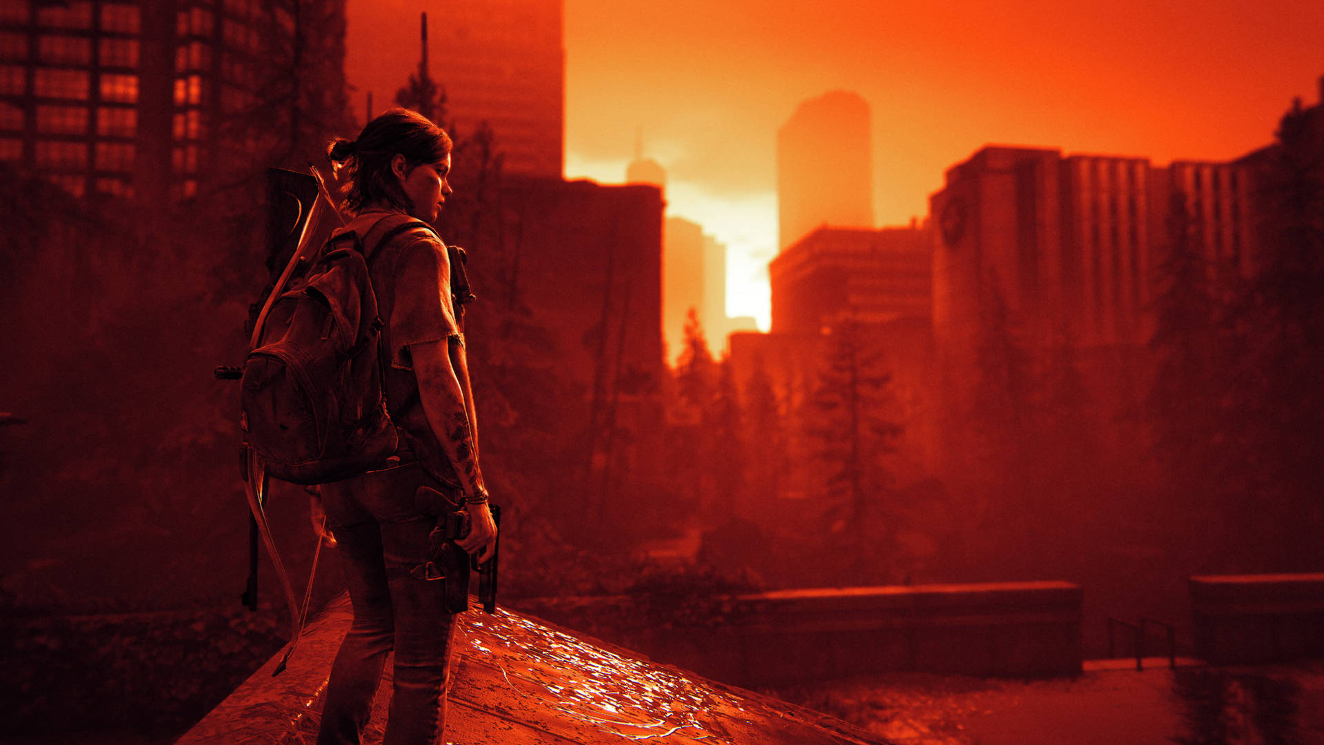 Girl At Sunset The Last Of Us 4k Background