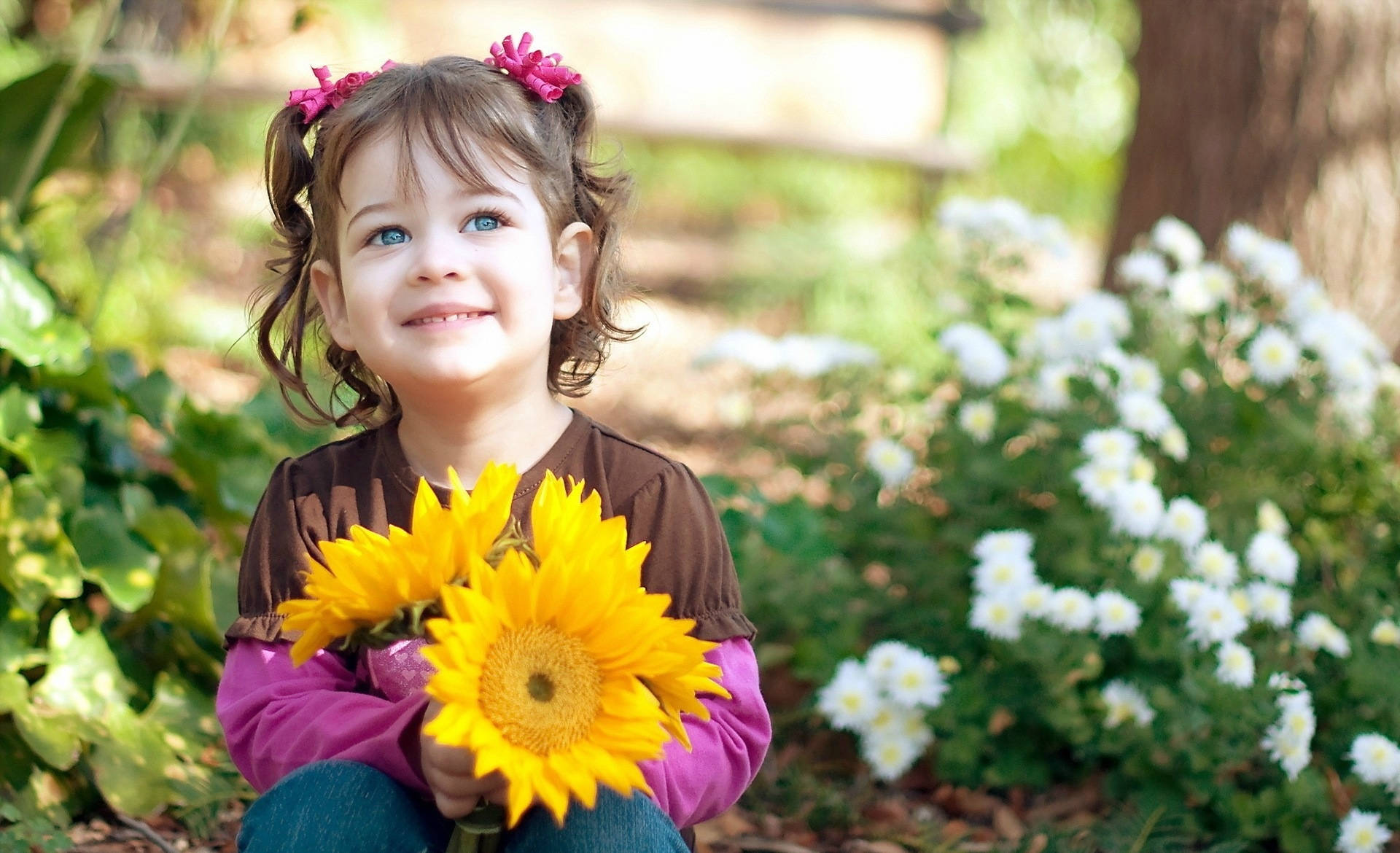 Girl Child Holding Common Sunflowers Background