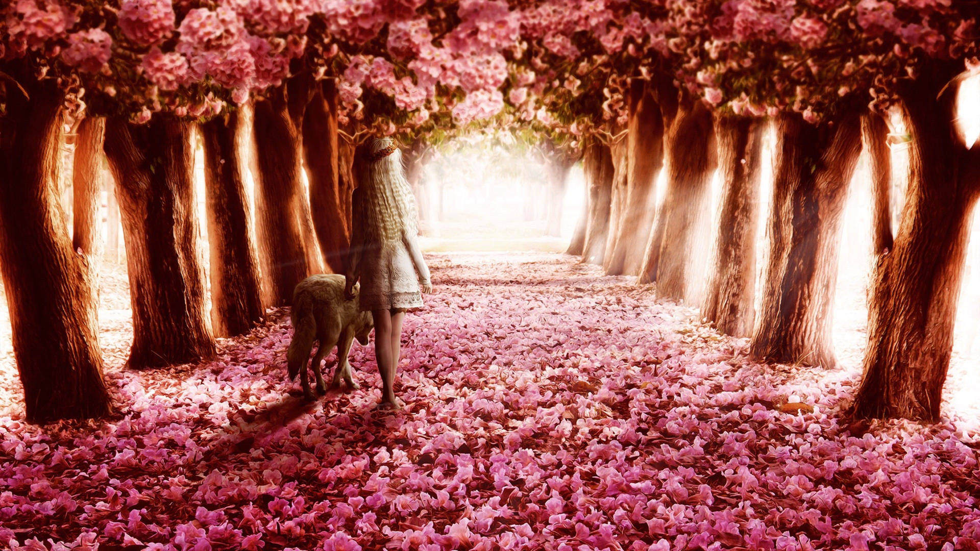 Girl Cute Pink Flower Path Background