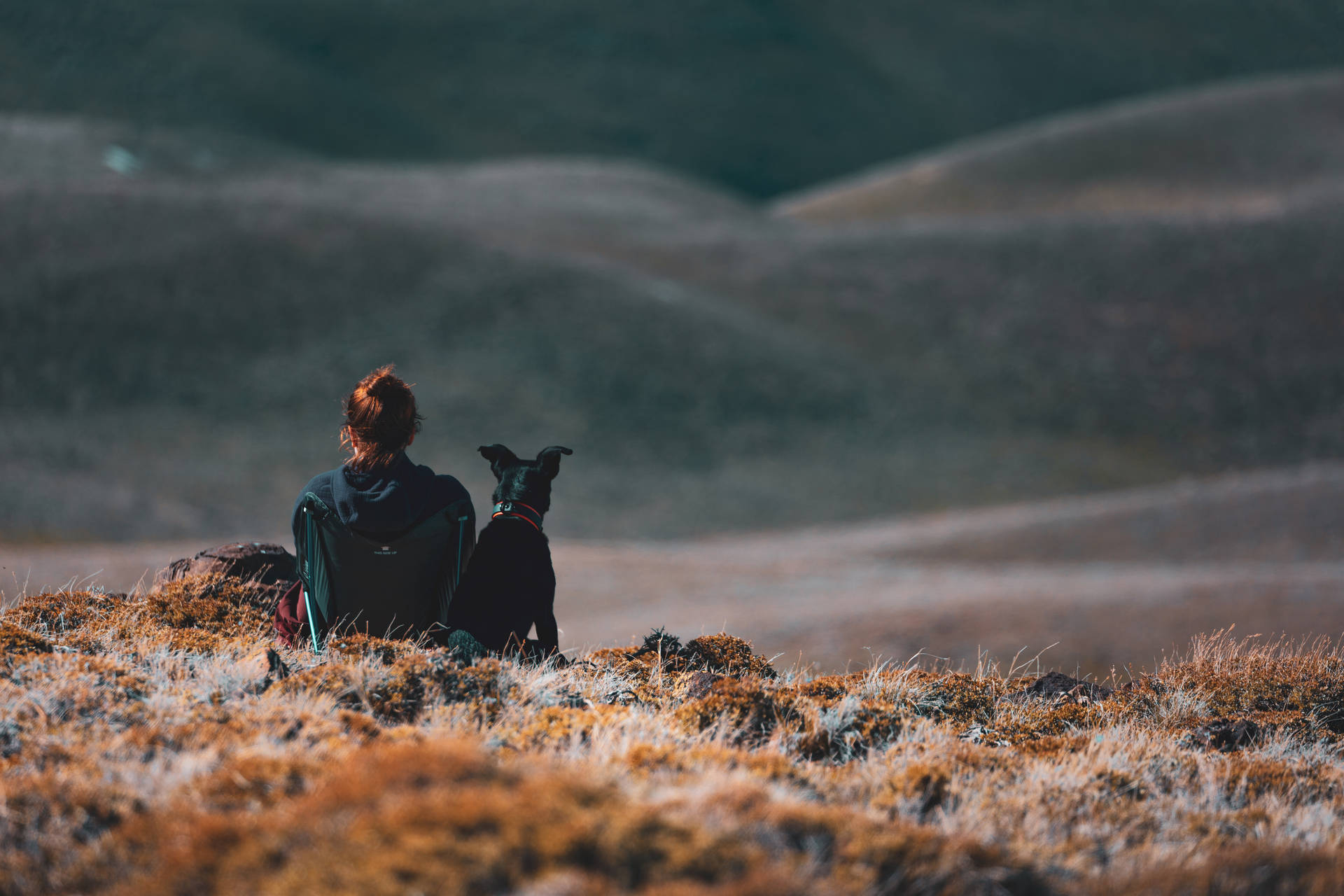 Girl, Dog, Friends, Mountains, Trip Background