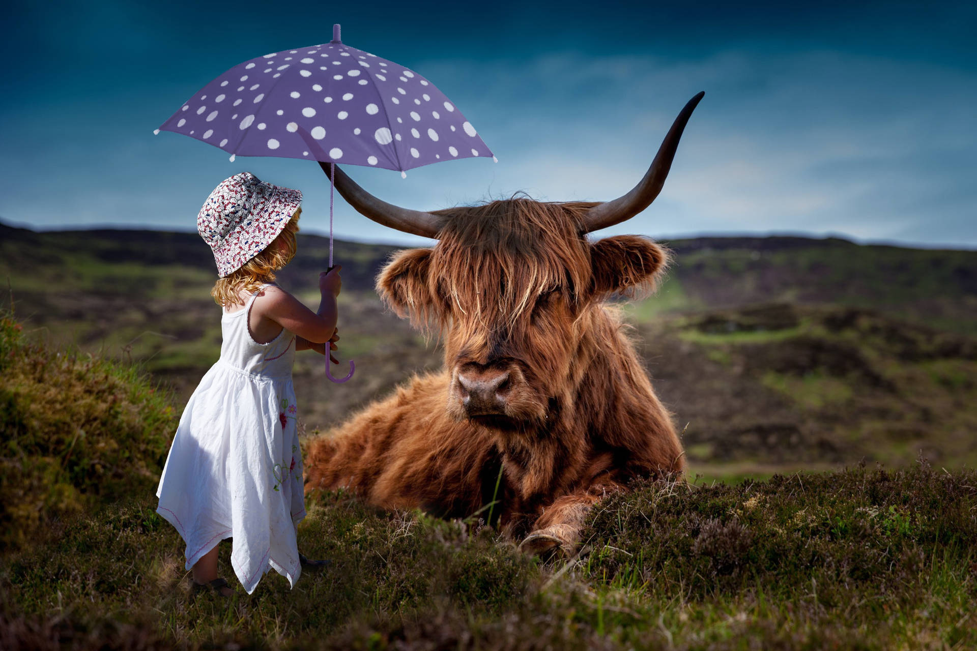 Girl Holding Umbrella Over Highland Cow Background