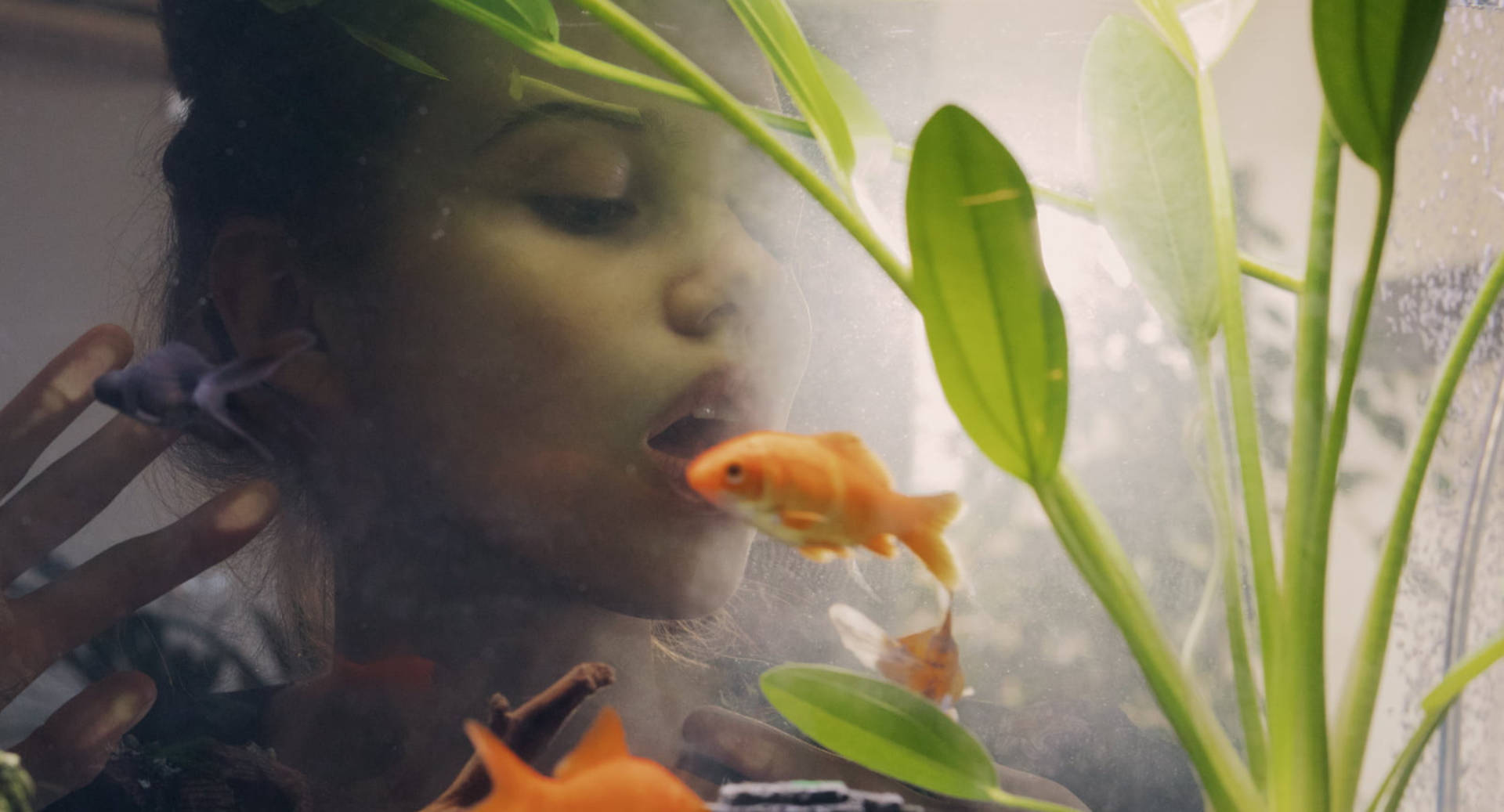 Girl In Awe With Aquarium Background