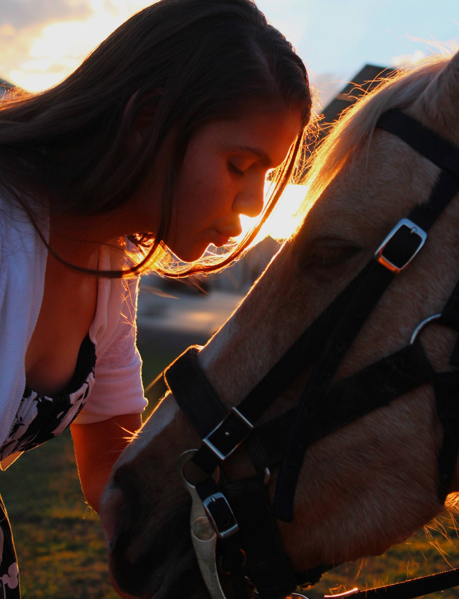 Girl Kissing A Horse Iphone Background