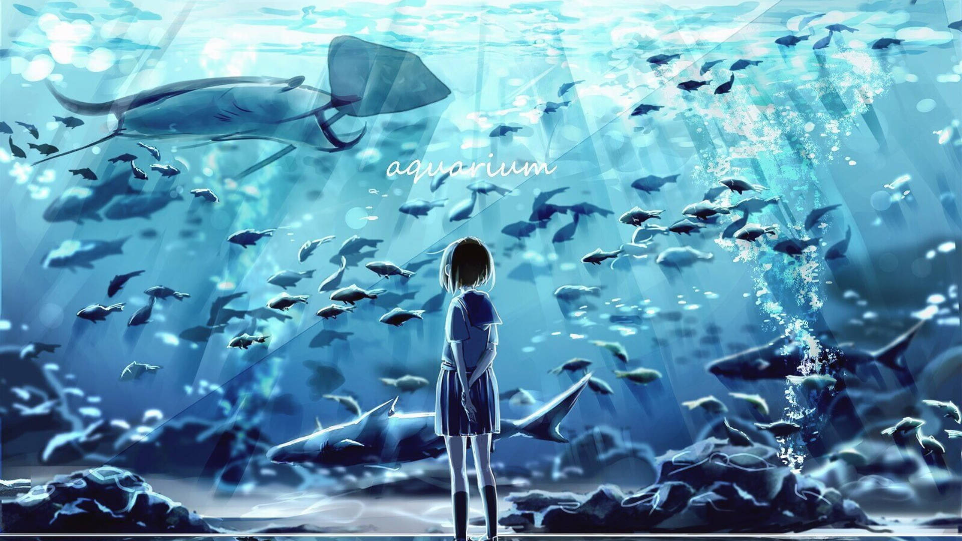 Girl Looking At Big Aquarium Background