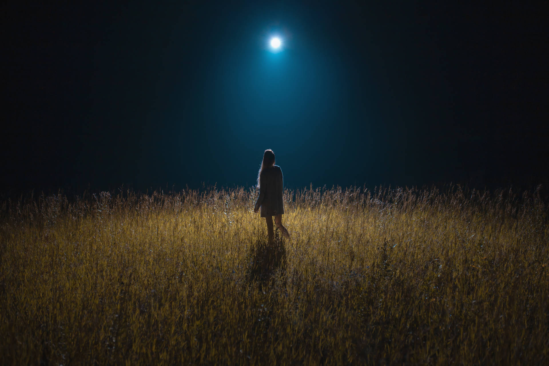 Girl On Grassy Field Moonlight 4k Background