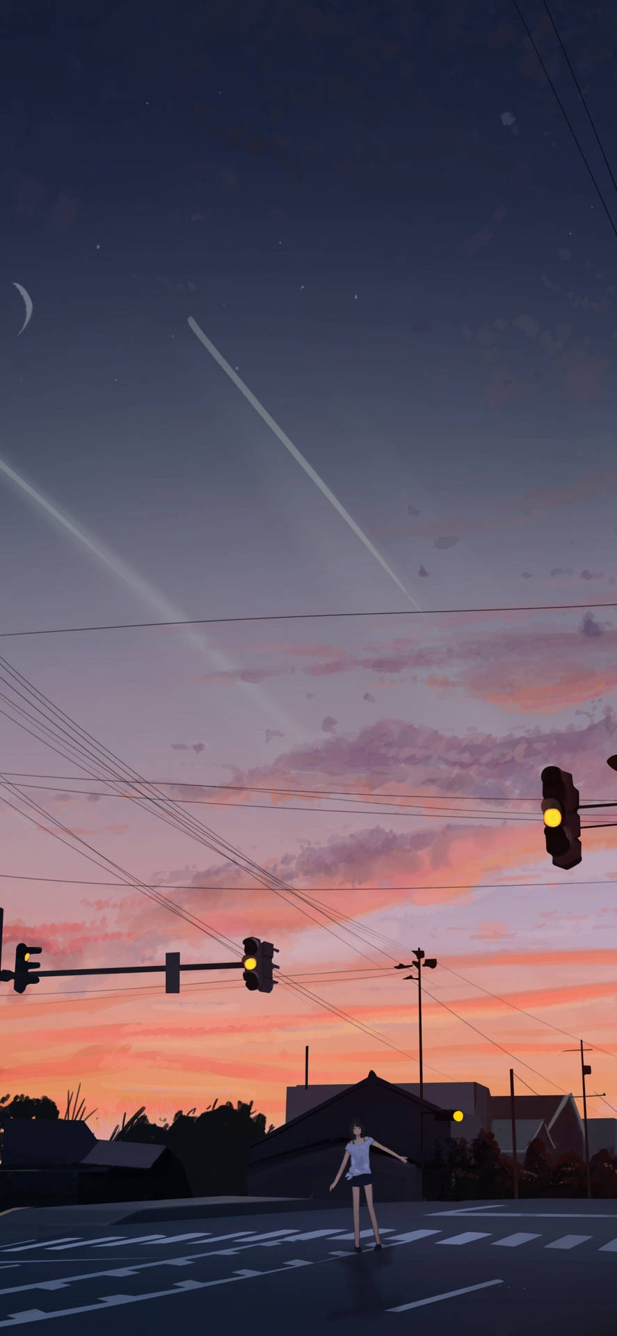 Girl On Road Anime Aesthetic Sunset Background