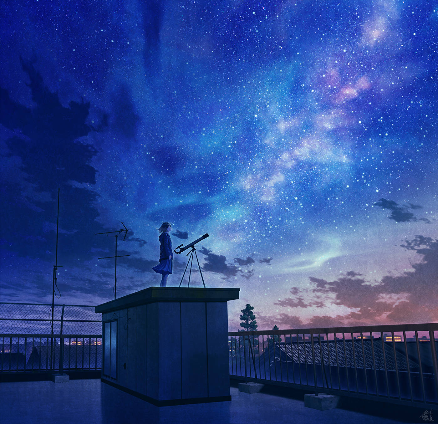 Girl On Rooftop Anime Night Sky Background