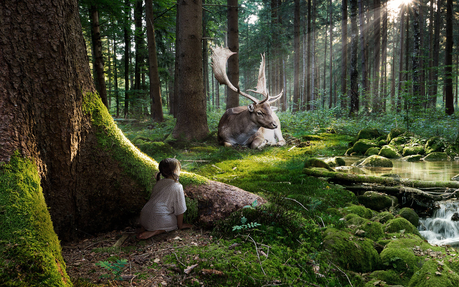 Girl Watching Enchanted Forest Deer Background