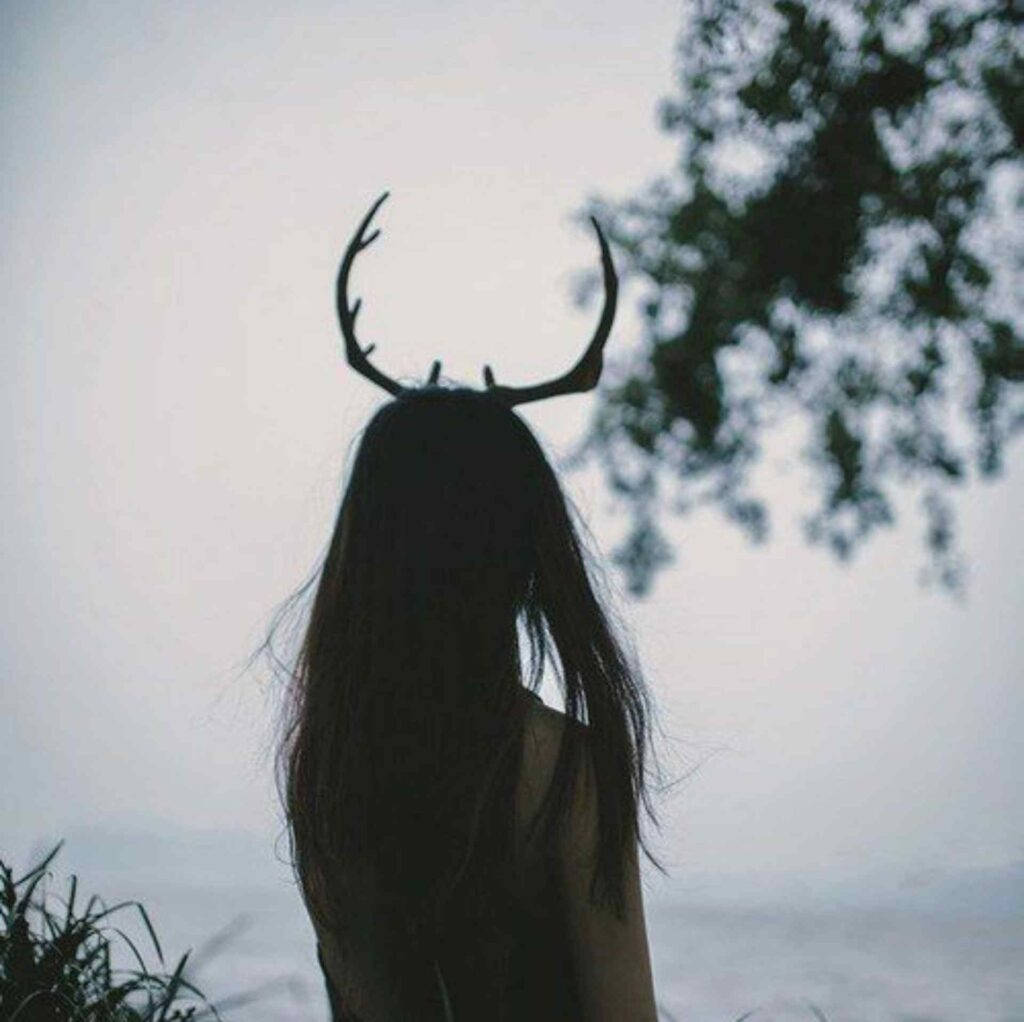 Girl With Antlers Pfp Aesthetic