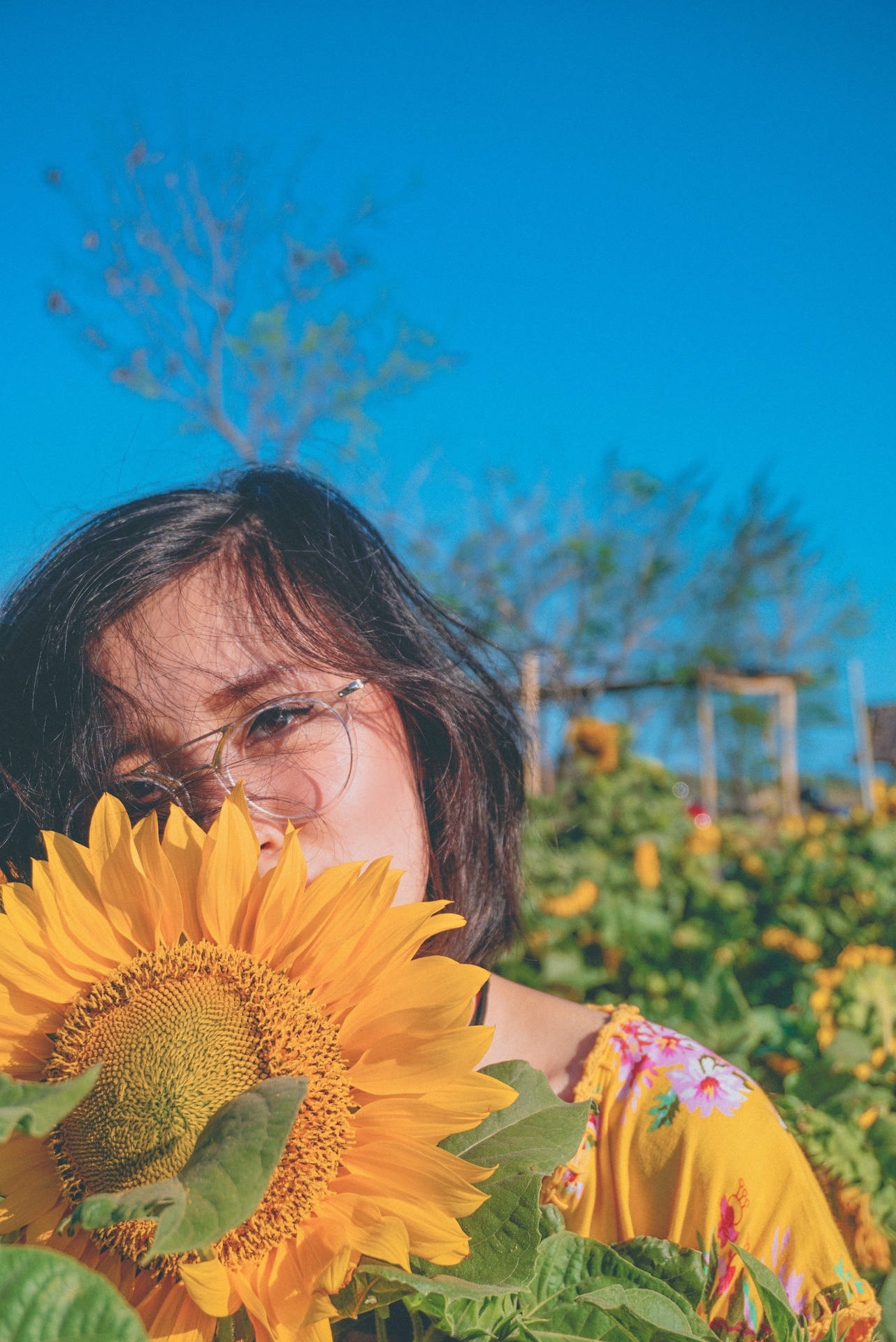 Girl With Bunga Background