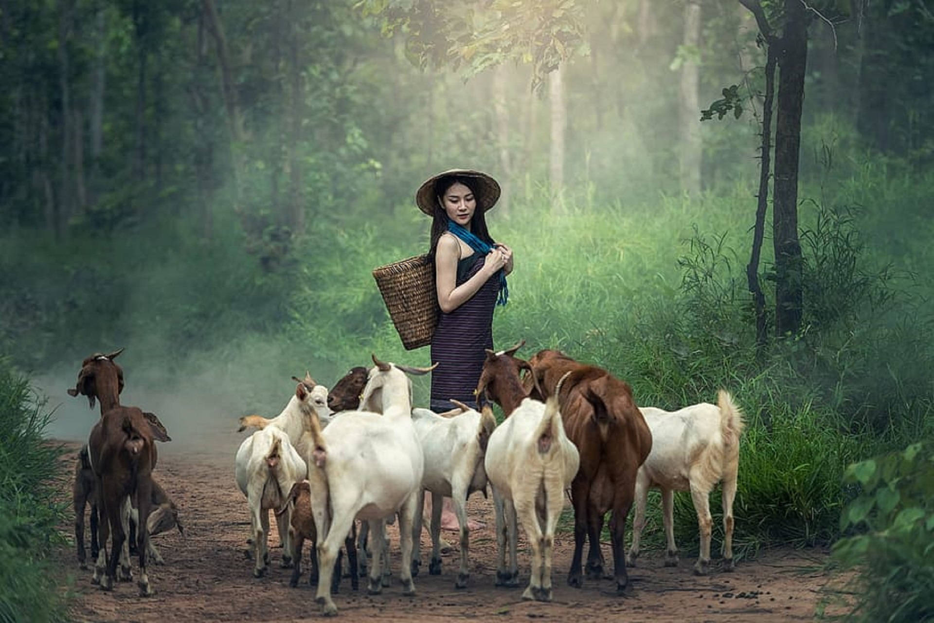 Girl With Group Of Goats Background