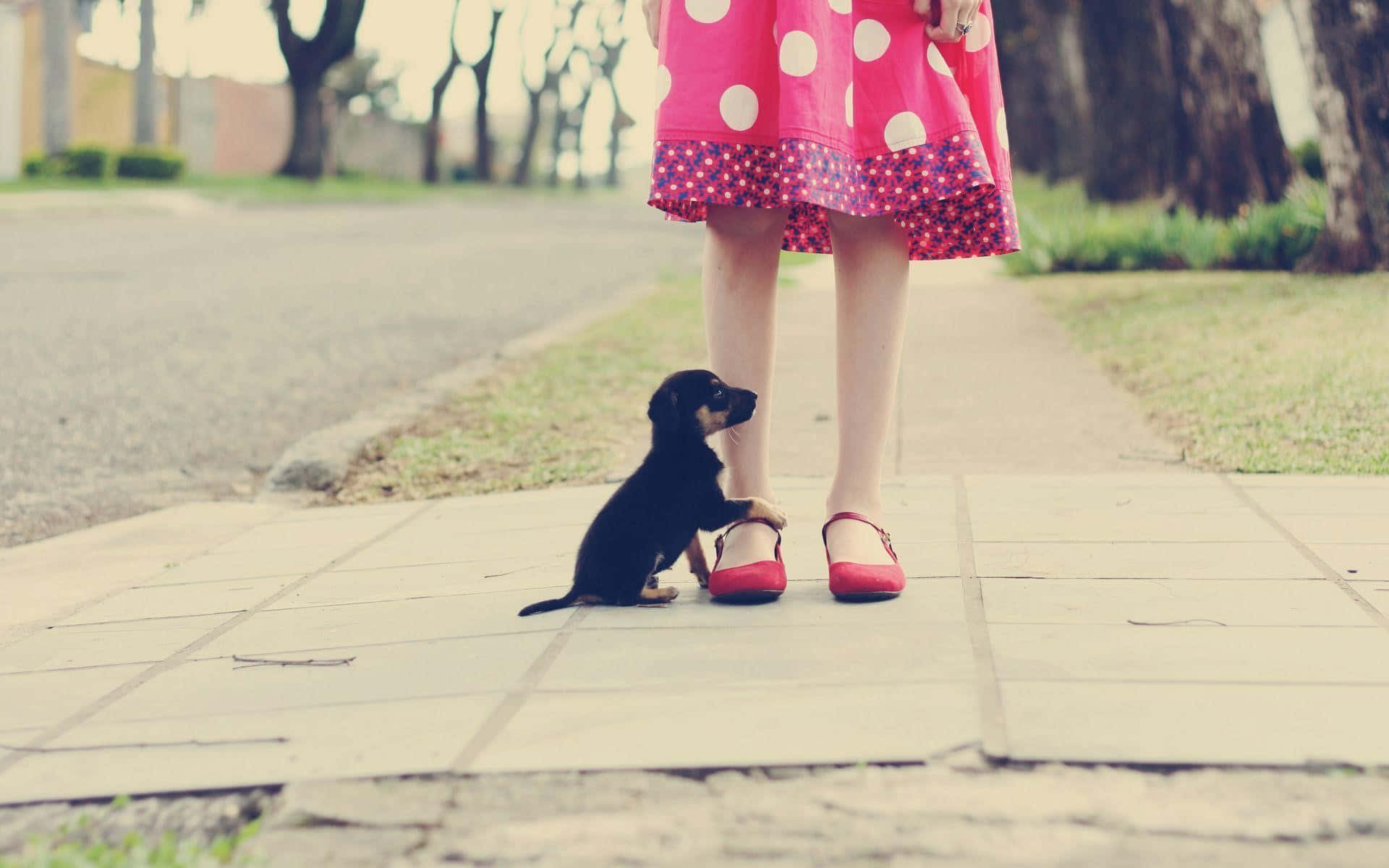 Girlin Polka Dot Dressand Puppyon Pathway.jpg Background