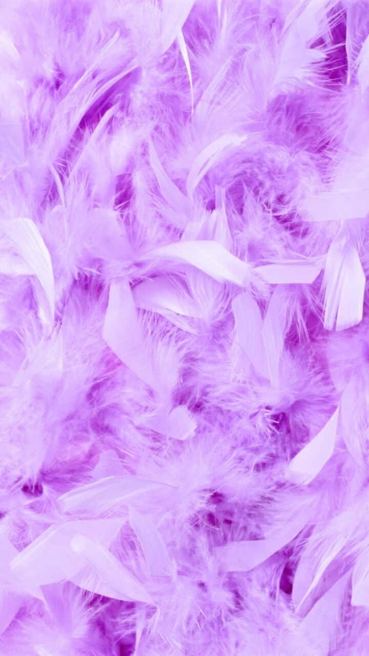 Girly Aesthetic Purple Bird Feathers Background