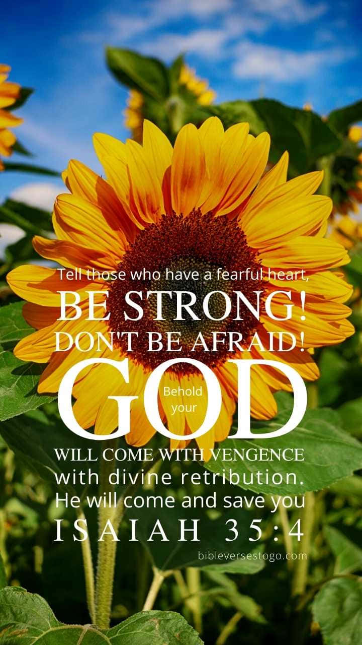 Girly Bible Verse In Fresh Sunflower Background