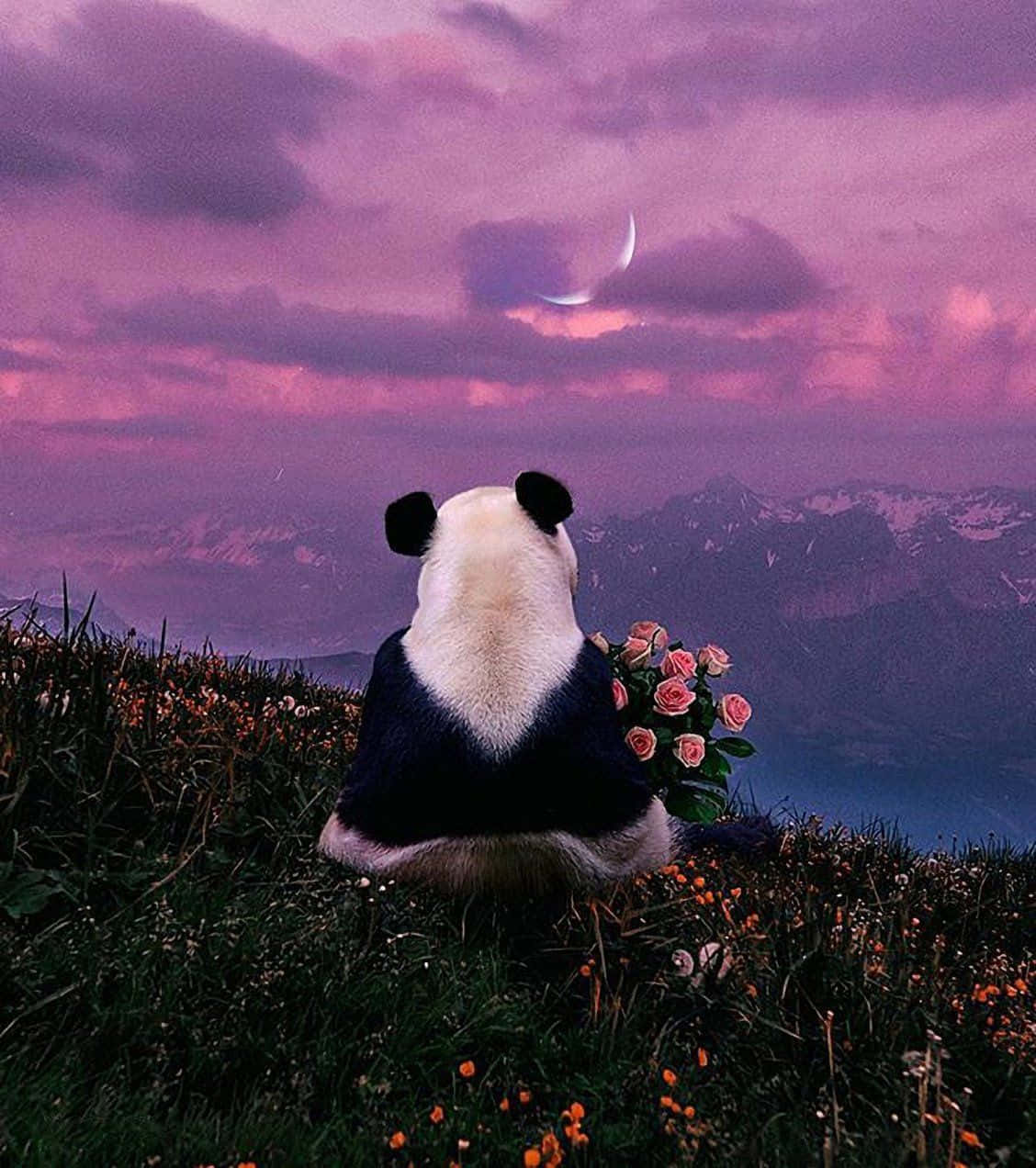 Girly Cute Panda Karen Cantuq Background