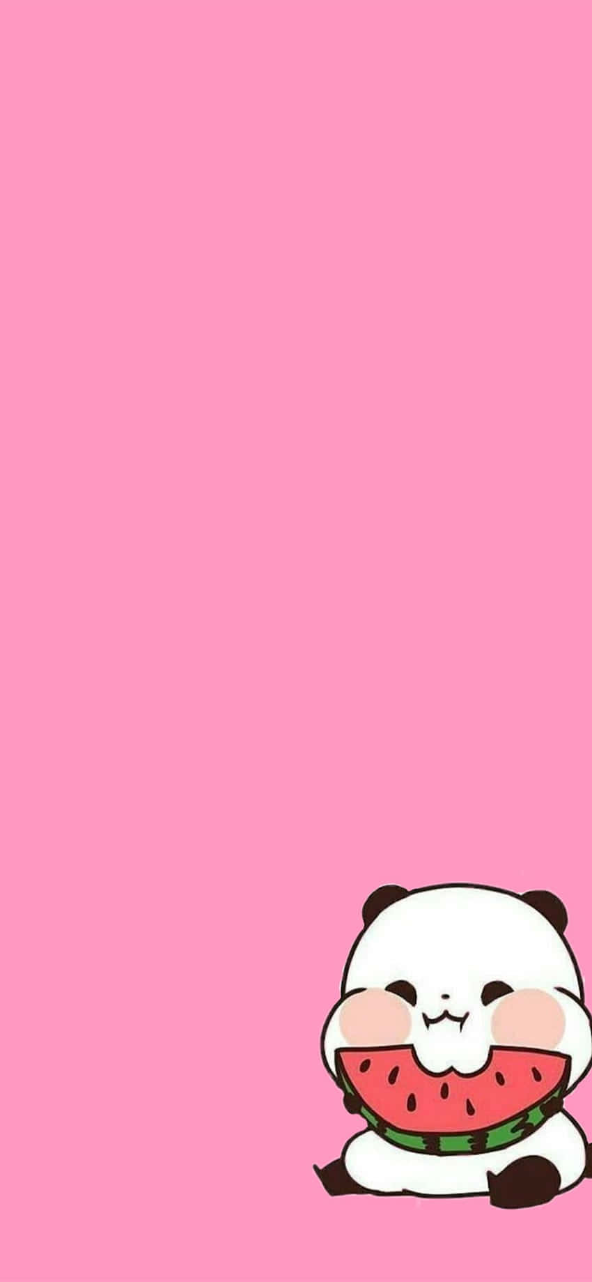 Girly Cute Panda Pink Watermelon Background