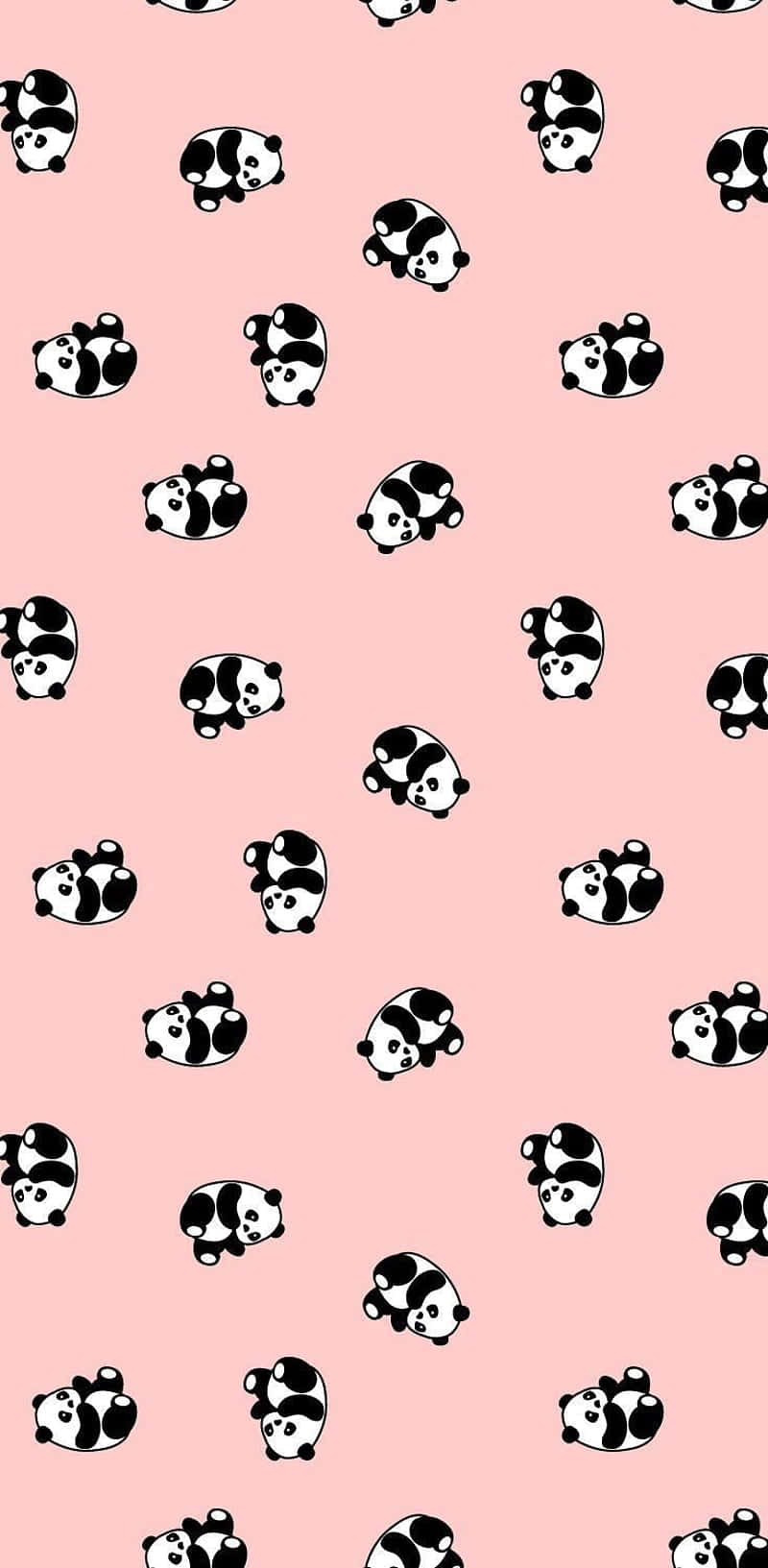 Girly Cute Panda Small Orientation Background