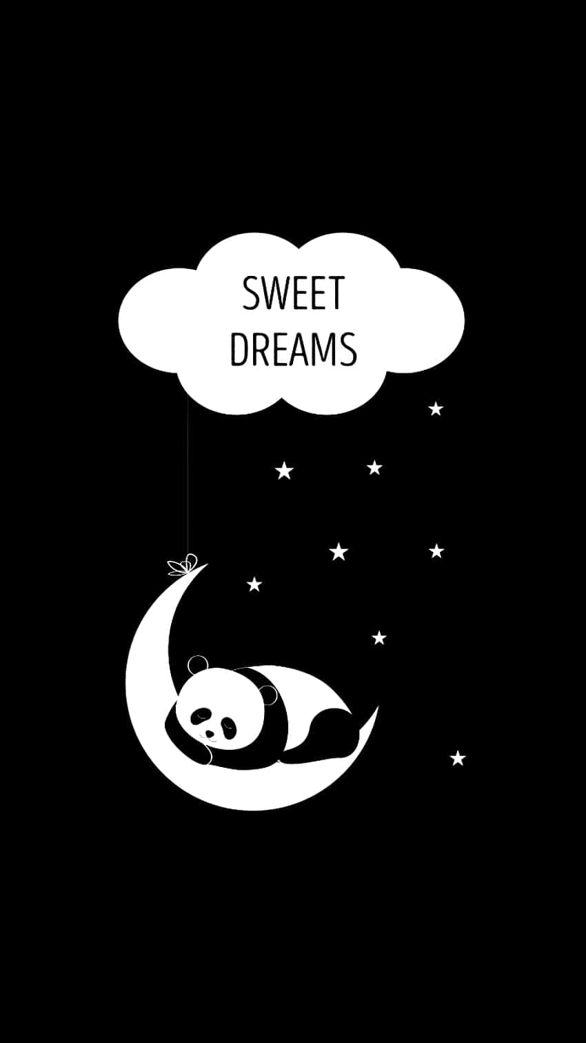 Girly Cute Panda Sweet Dreams Background