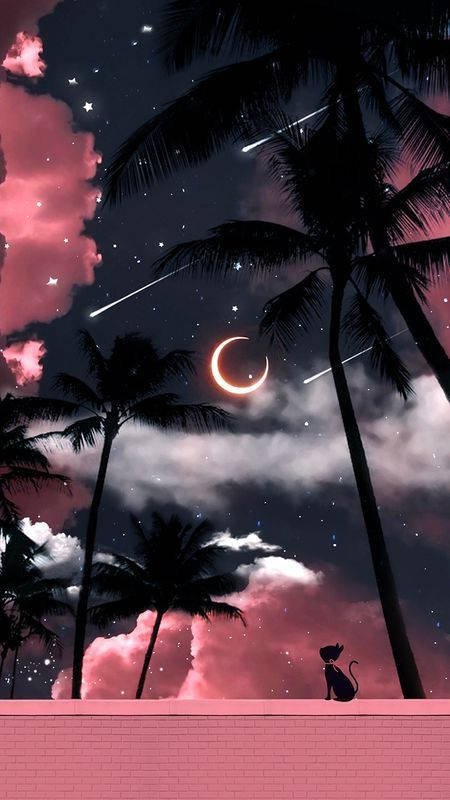 Girly Galaxy Black And Pink Palm Trees Background