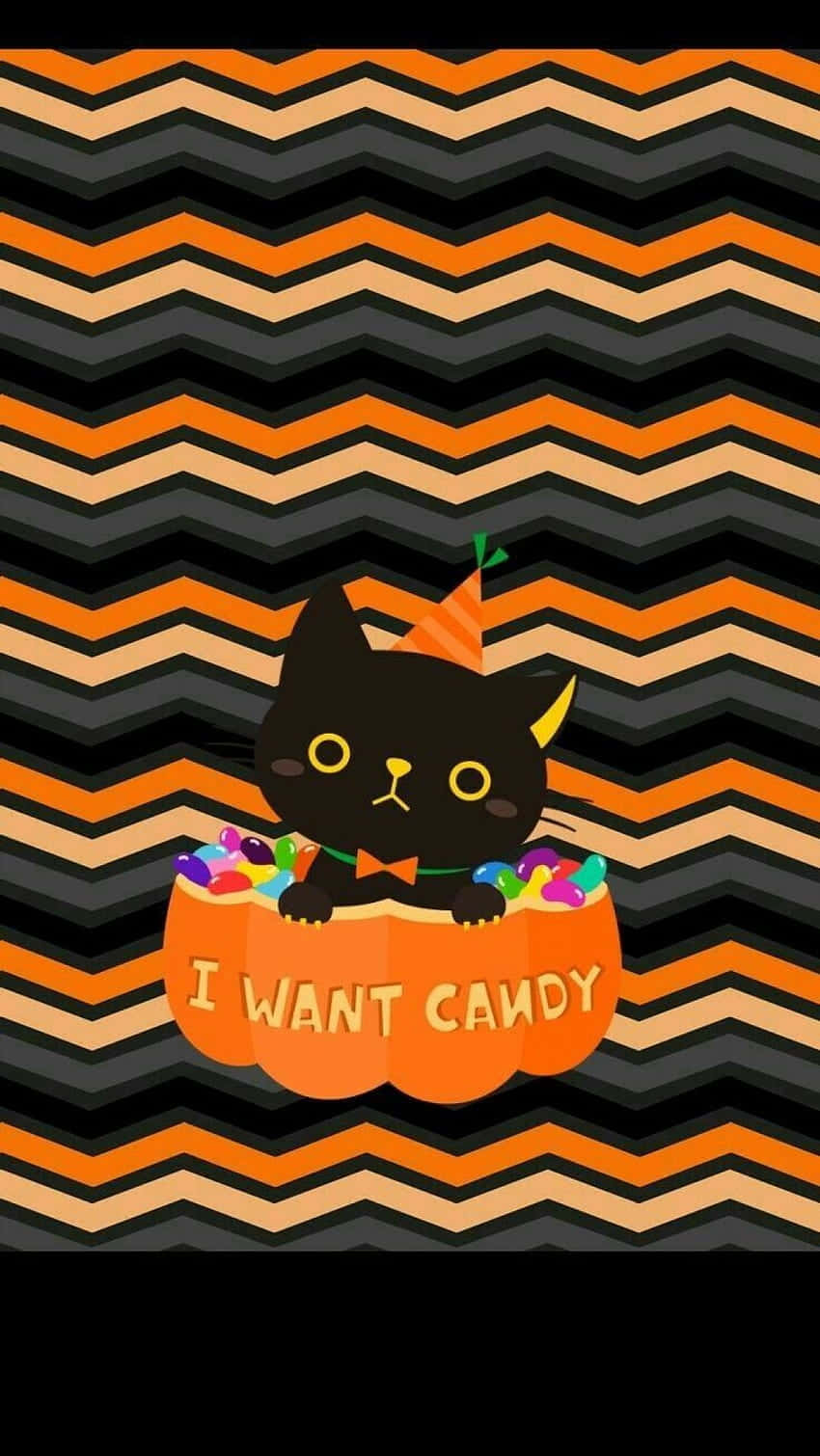 Girly Halloween Cat Wants Candy Background