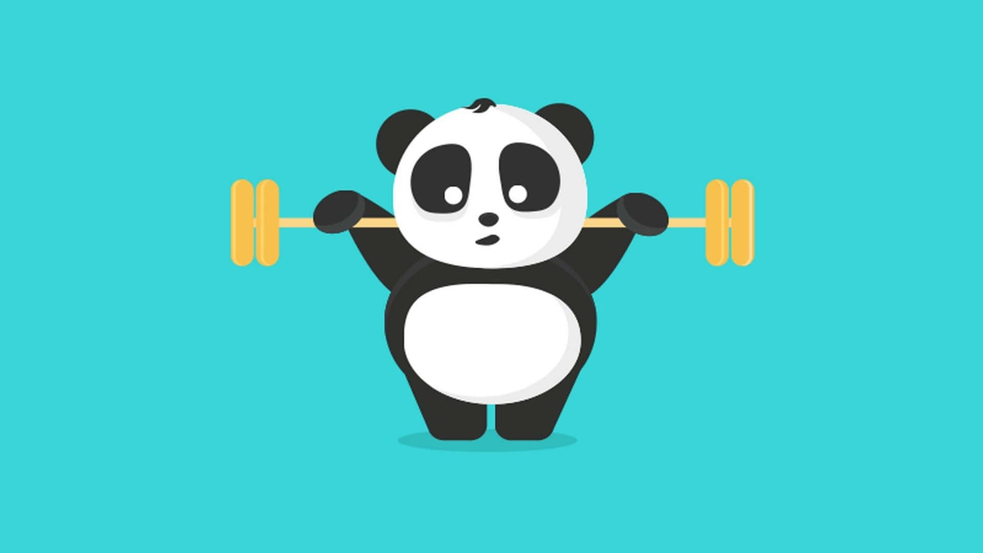 Girly Panda Exercising Background