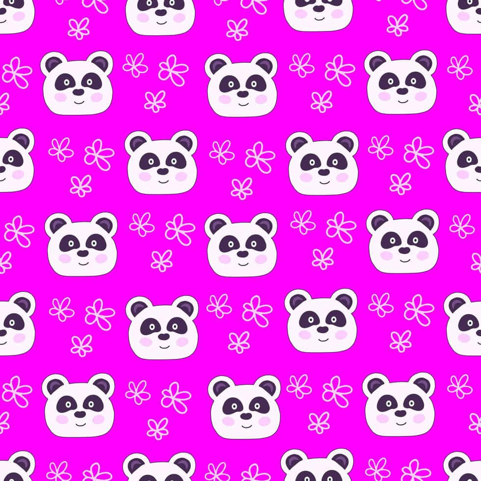 Girly Panda Heads Pink Background