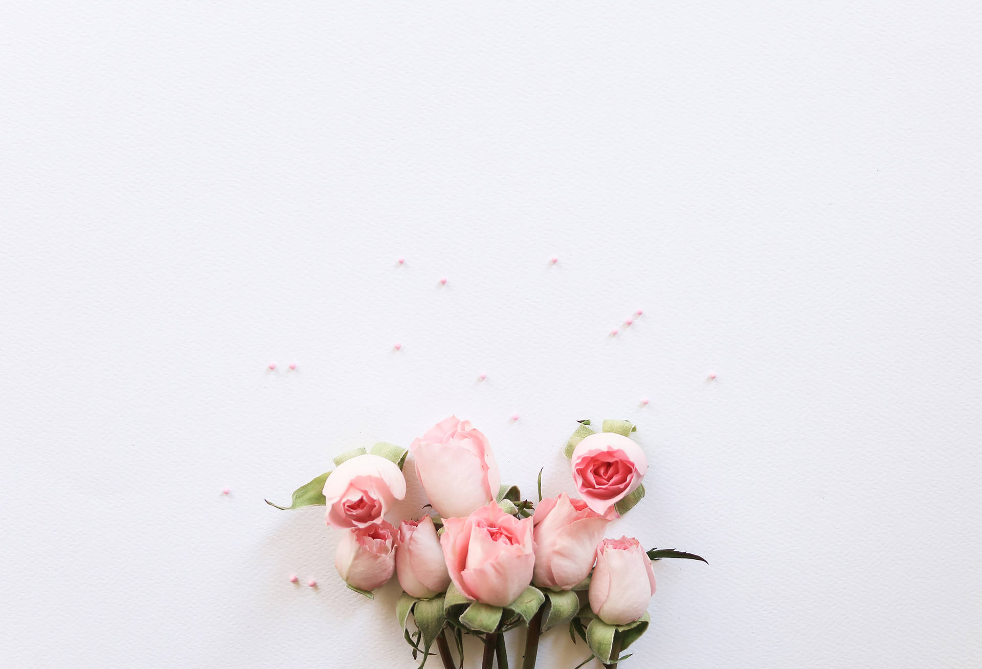 Girly Pink Aesthetic Roses Background