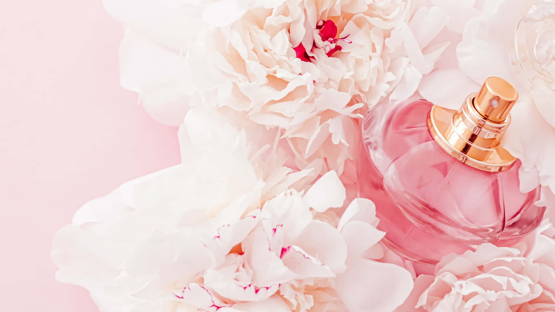 Girly Pink Flowers Desktop Background