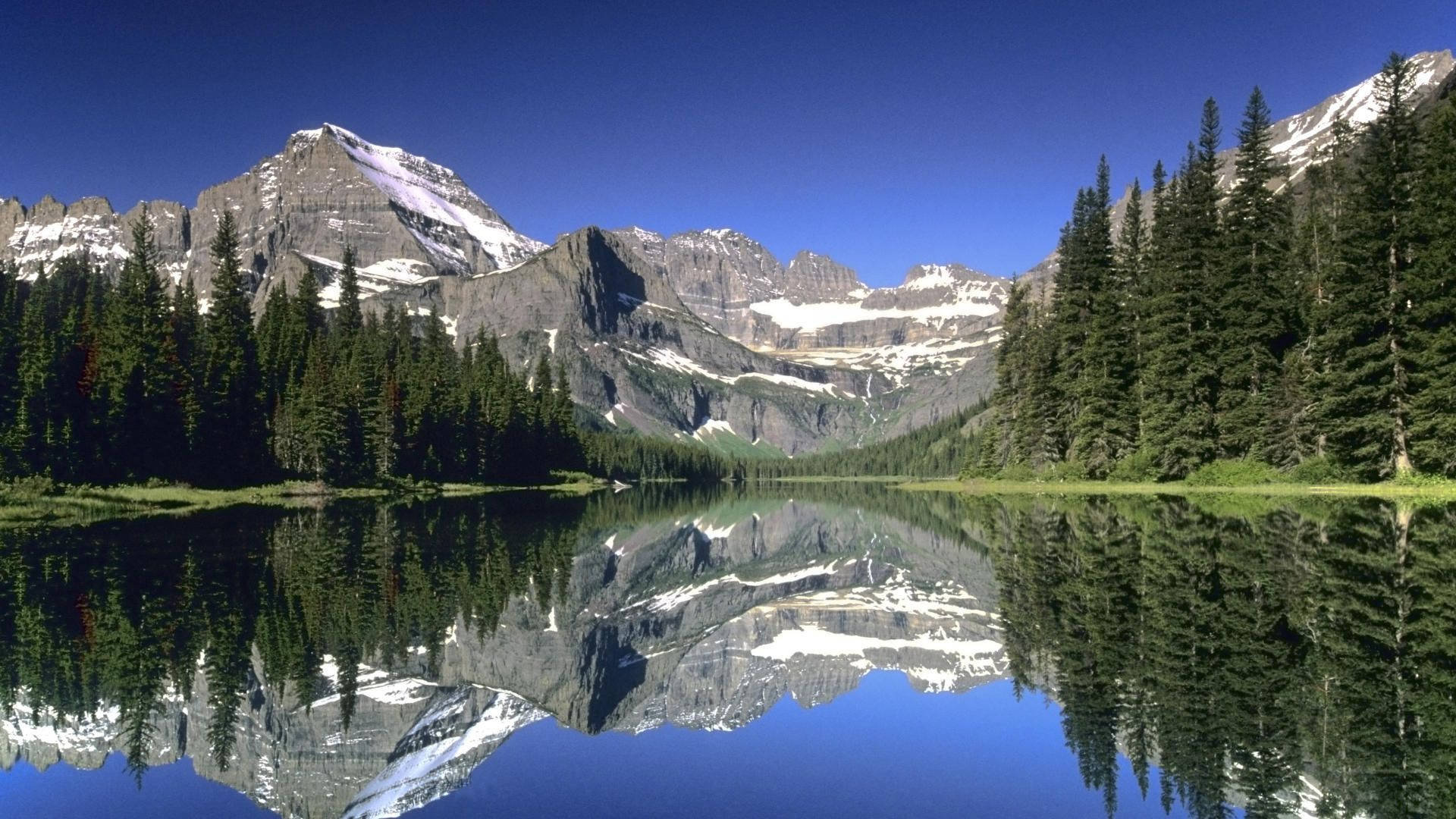 Glacier National Park Forest And Lake Background