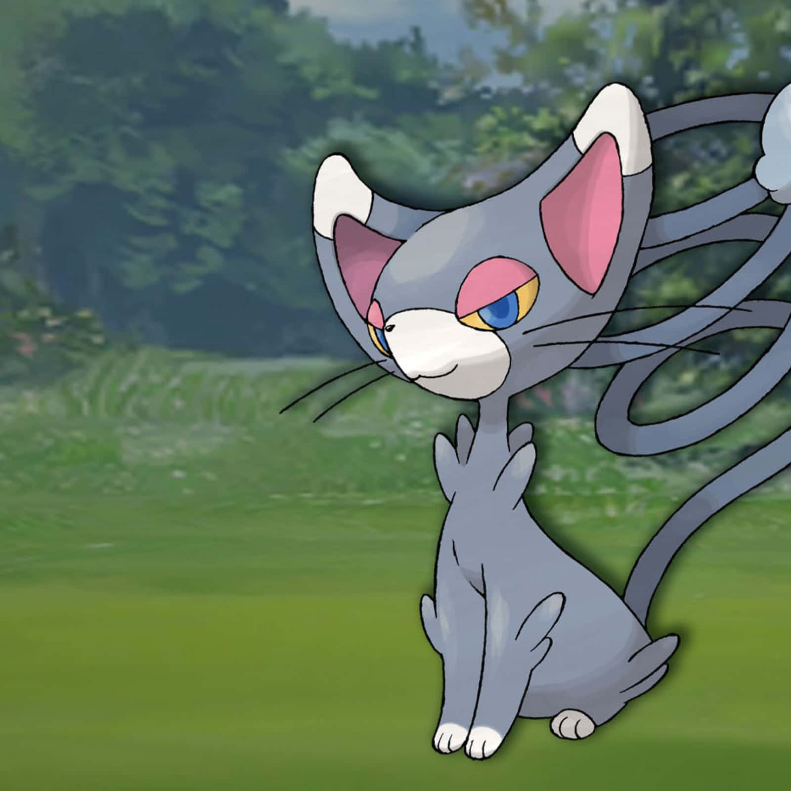 Glameow In Forest Background